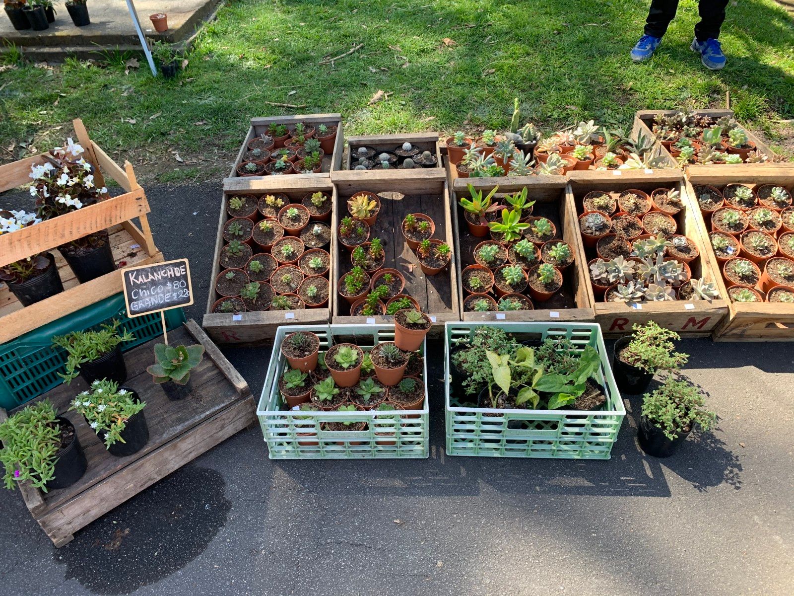 Jardins em Montevidéu. Conhecendo o Uruguai com crianças - 18 - 0