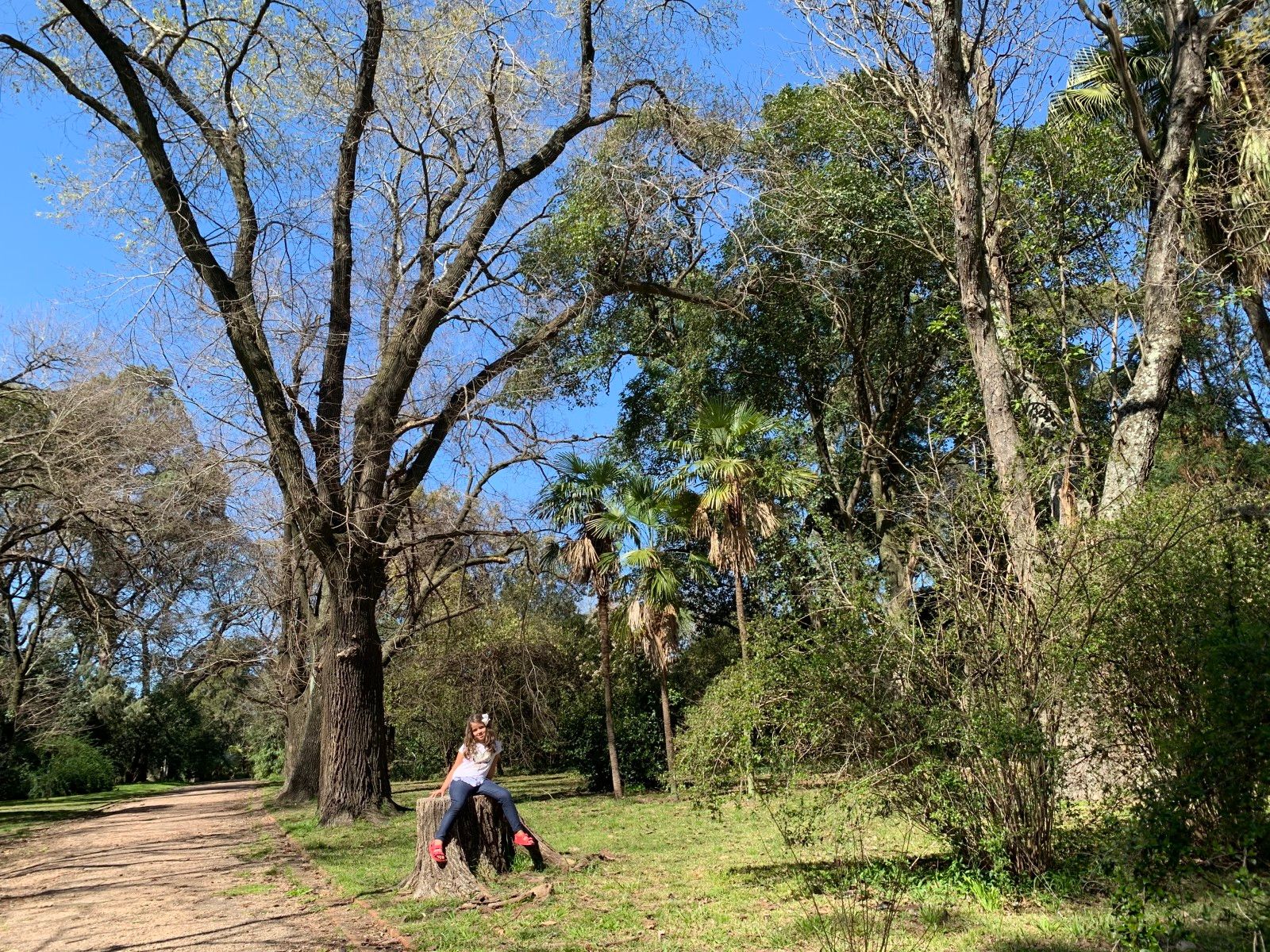 Jardins em Montevidéu. Conhecendo o Uruguai com crianças - 14 - 0