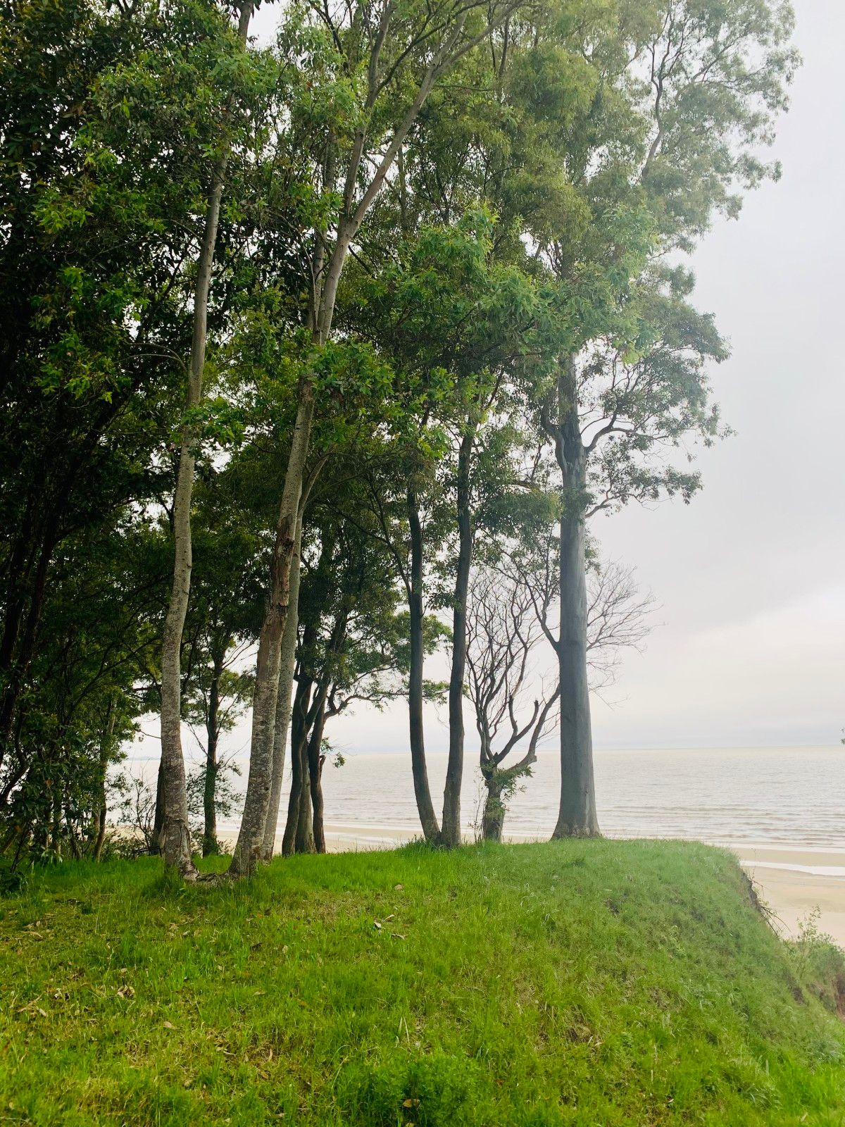 Turismo de Isolamento: onde se hospedar no Uruguay - 47 - 0