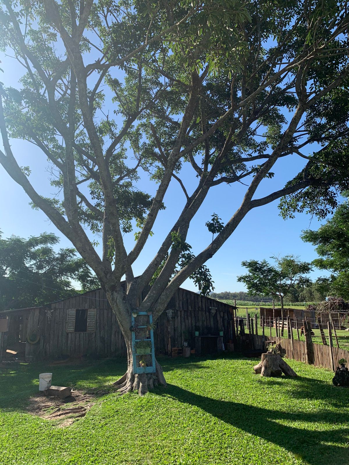 Provando delícias na rota Ferradura dos Vinhedos em Santana do Livramento - 53 - 1