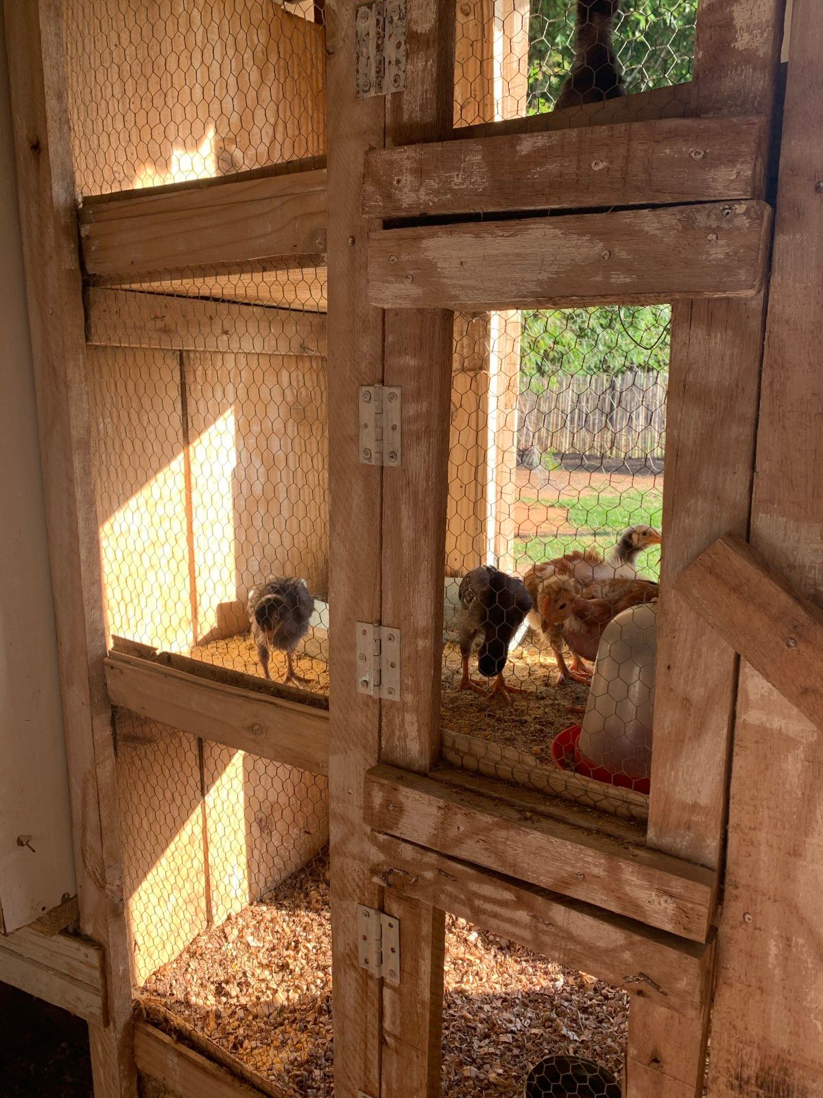 Provando delícias na rota Ferradura dos Vinhedos em Santana do Livramento - 57 - 1