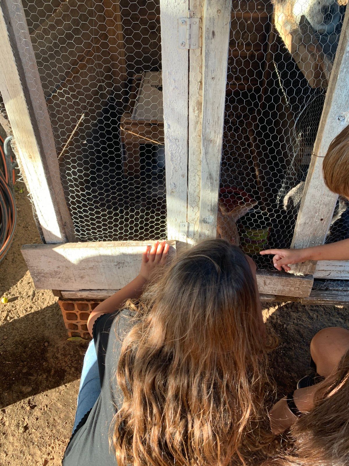 Provando delícias na rota Ferradura dos Vinhedos em Santana do Livramento - 57 - 2