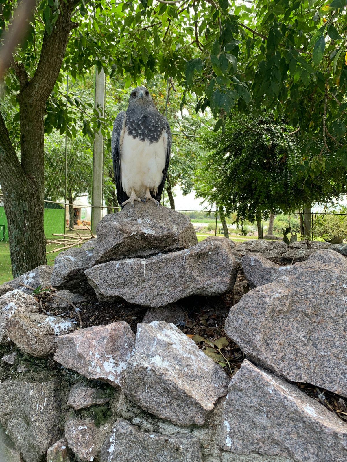 Bate e volta de Montevidéu: Ecoparque Talice - 21 - 0