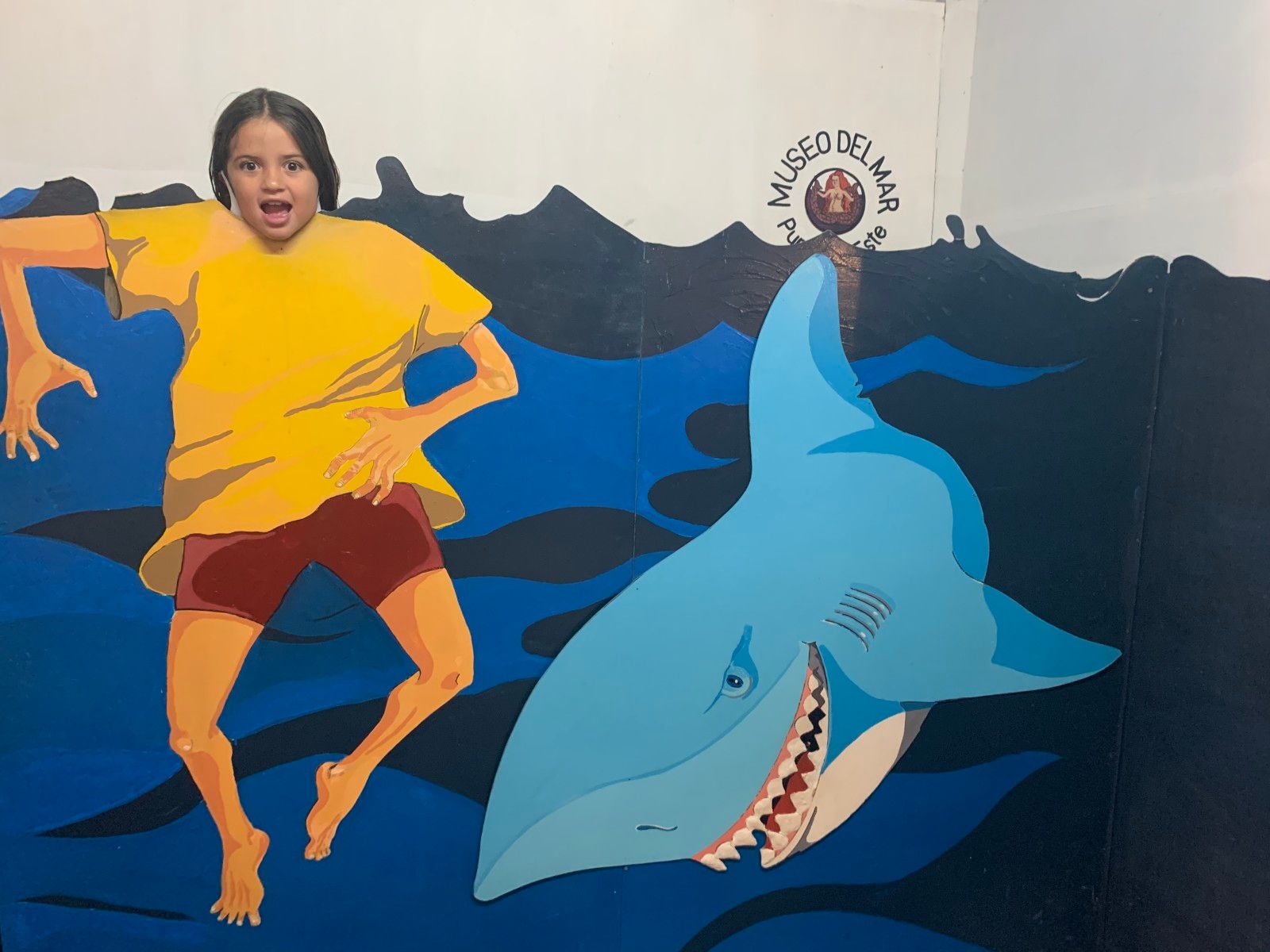 Museo del Mar em Punta del Este - 18 - 3