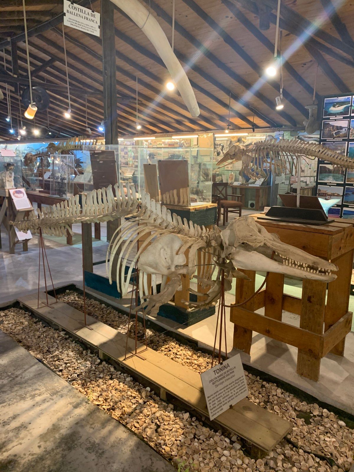 Museo del Mar em Punta del Este - 21 - 2