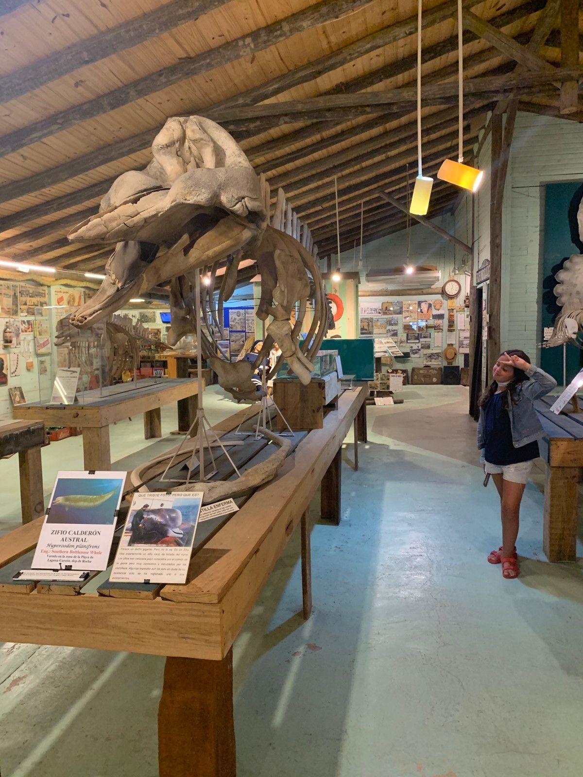 Museo del Mar em Punta del Este - 21 - 3