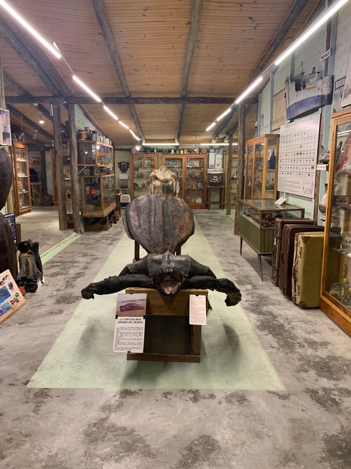 Museo del Mar em Punta del Este - 21 - 4