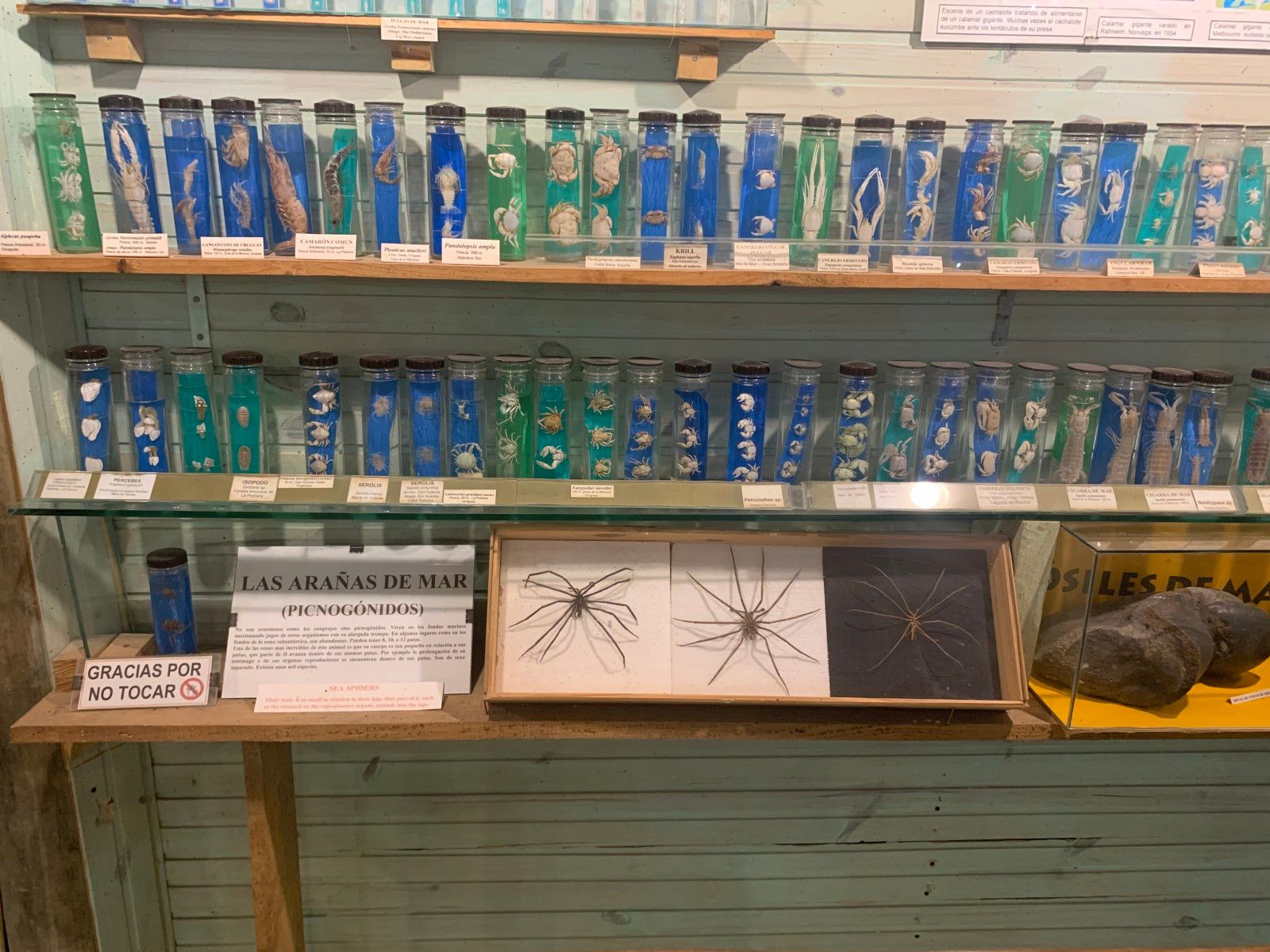 Museo del Mar em Punta del Este - 34 - 0