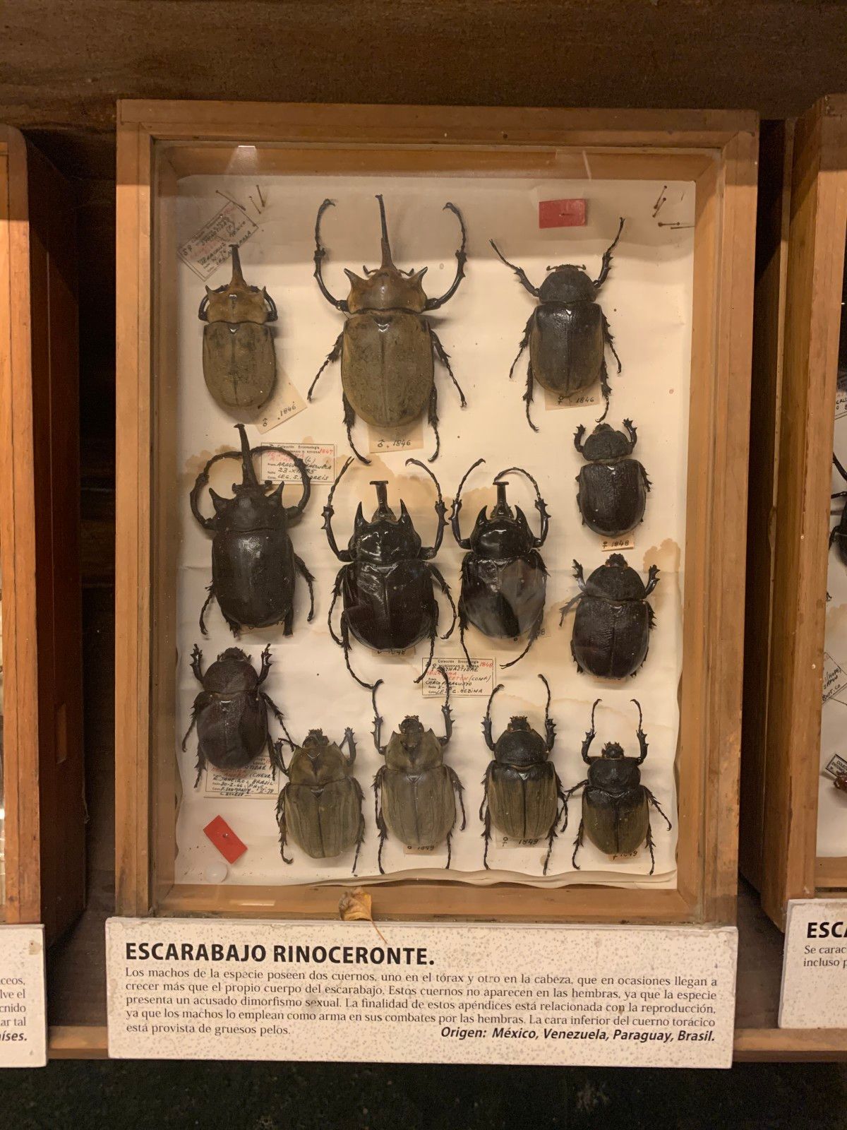 Museo del Mar em Punta del Este - 46 - 0