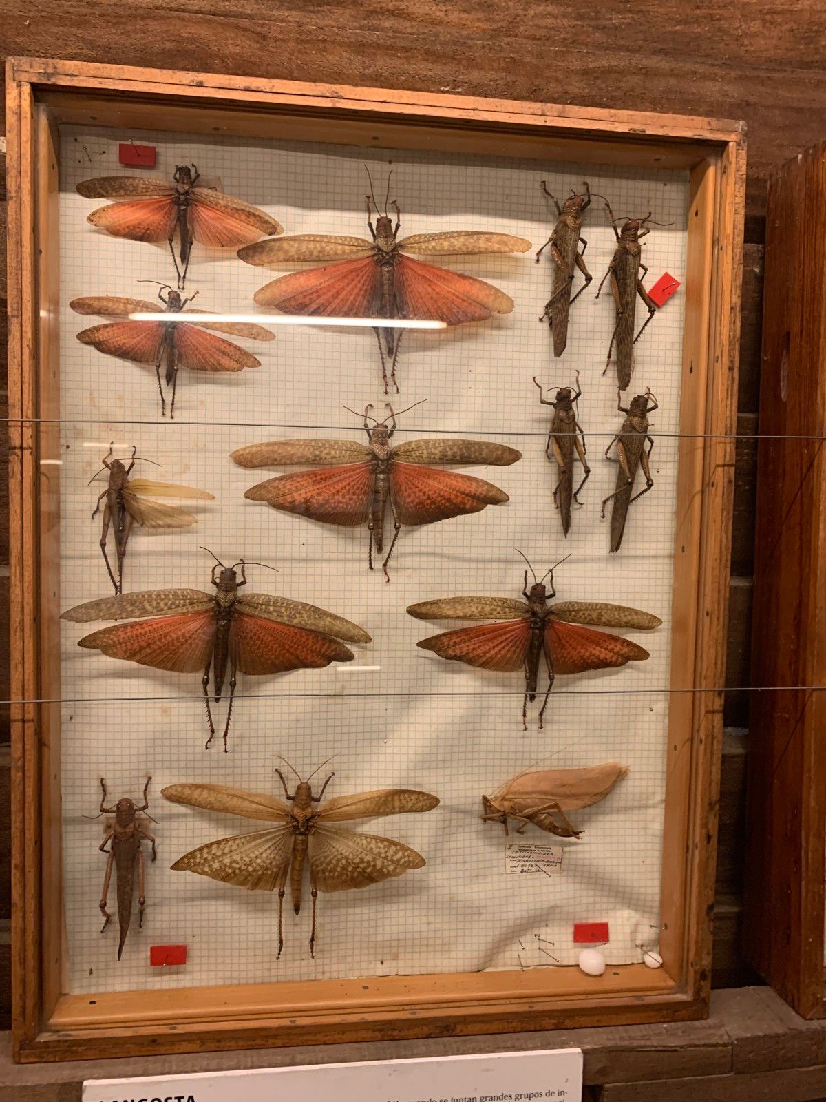 Museo del Mar em Punta del Este - 46 - 3