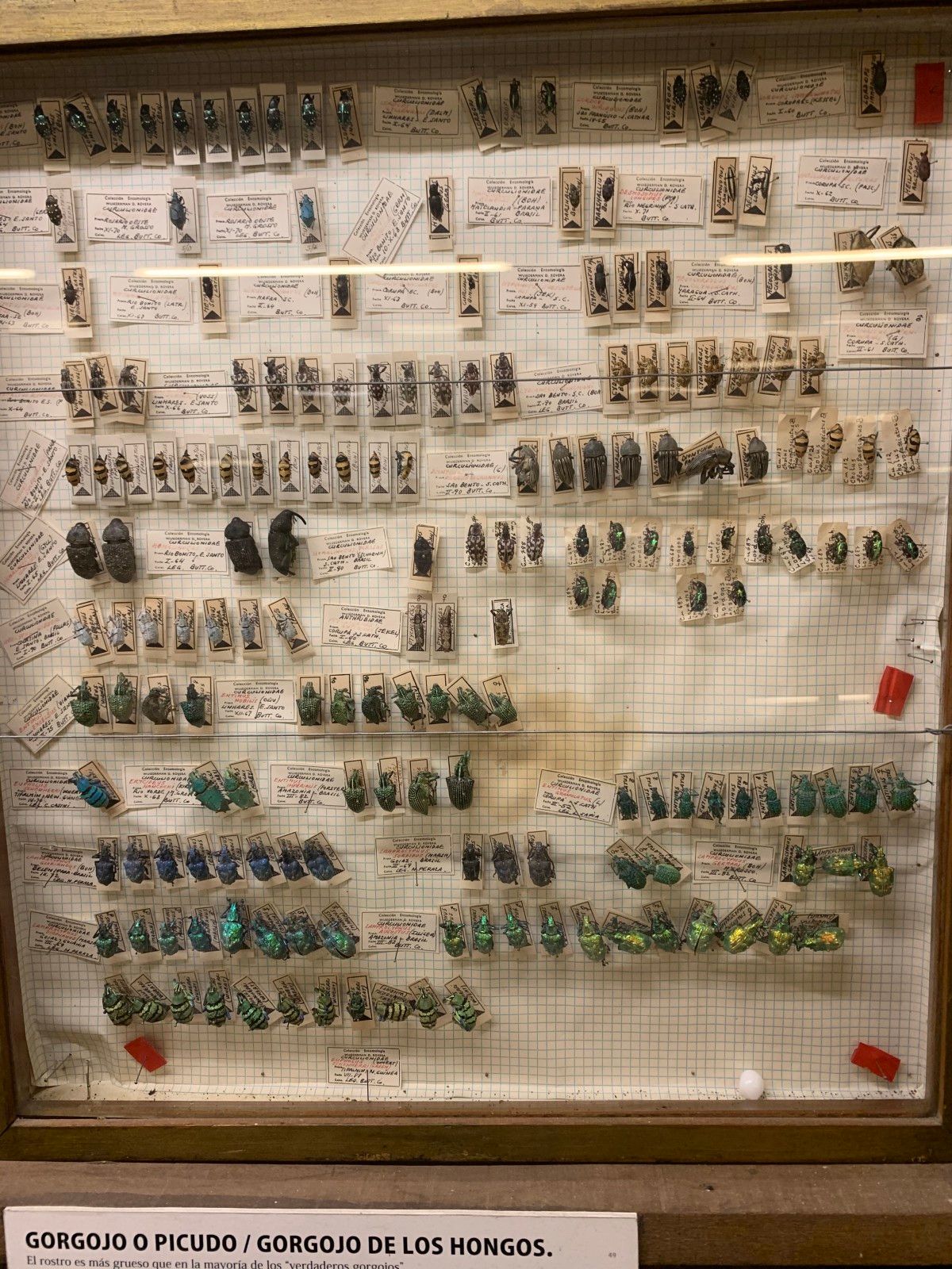 Museo del Mar em Punta del Este - 46 - 4