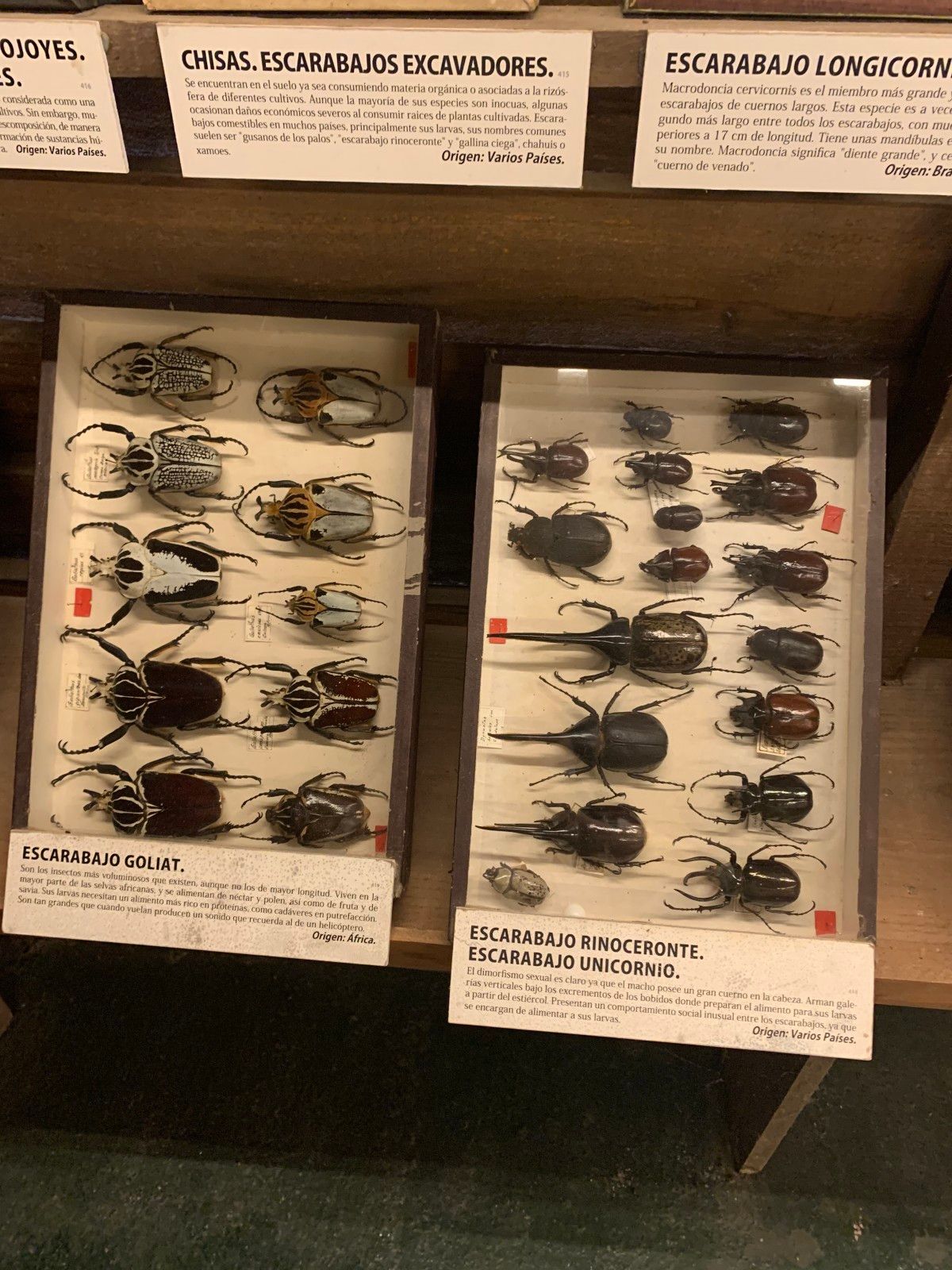 Museo del Mar em Punta del Este - 46 - 6