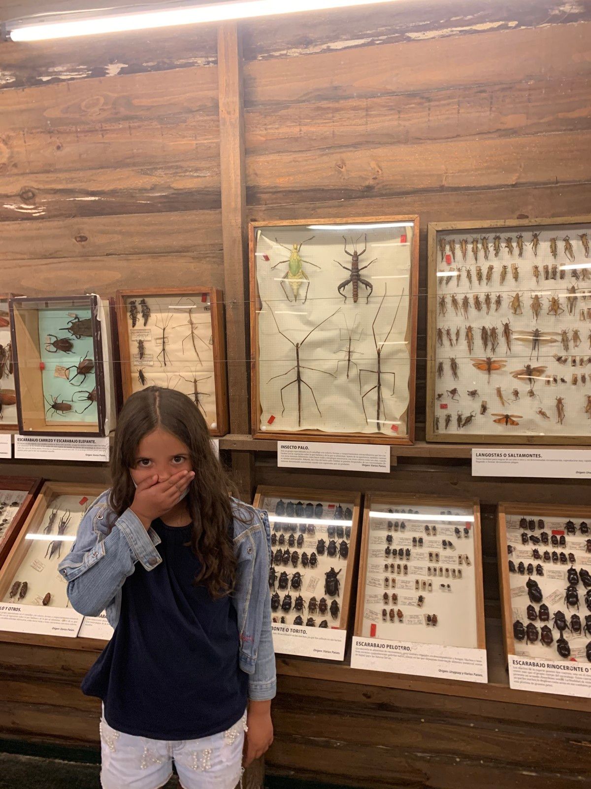 Museo del Mar em Punta del Este - 46 - 7