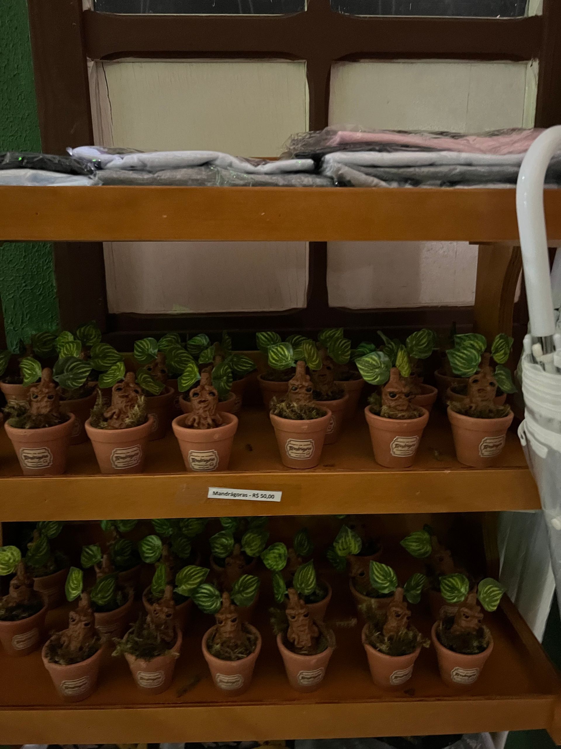 Escola de Magia em Gramado: como é a visita - 39