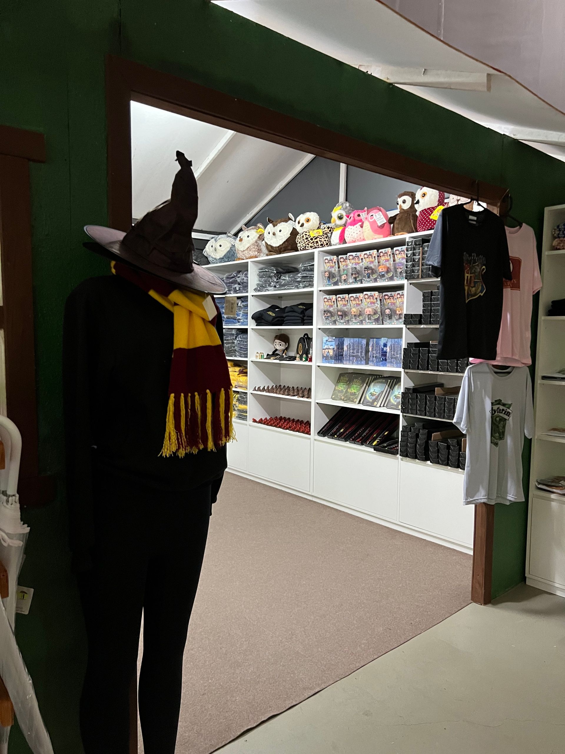 Escola de Magia em Gramado: como é a visita - 40