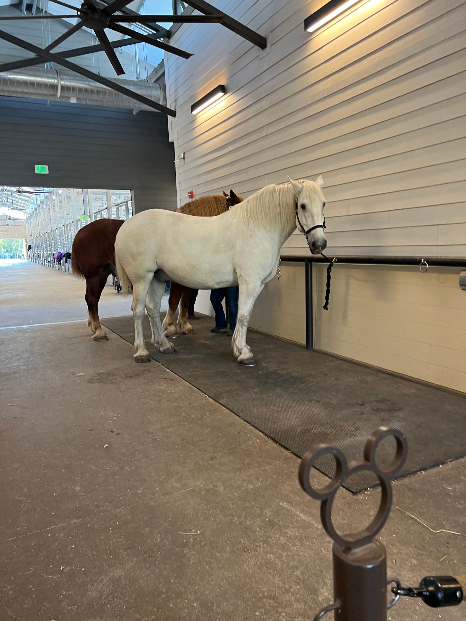 Como acampar na Disney: Fort Wilderness - 15