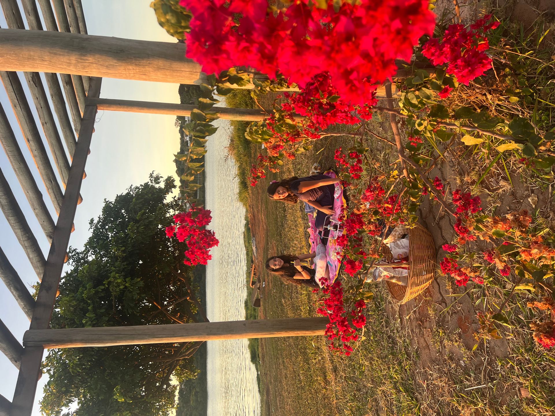 20 locais para piquenique em Brasília - 1