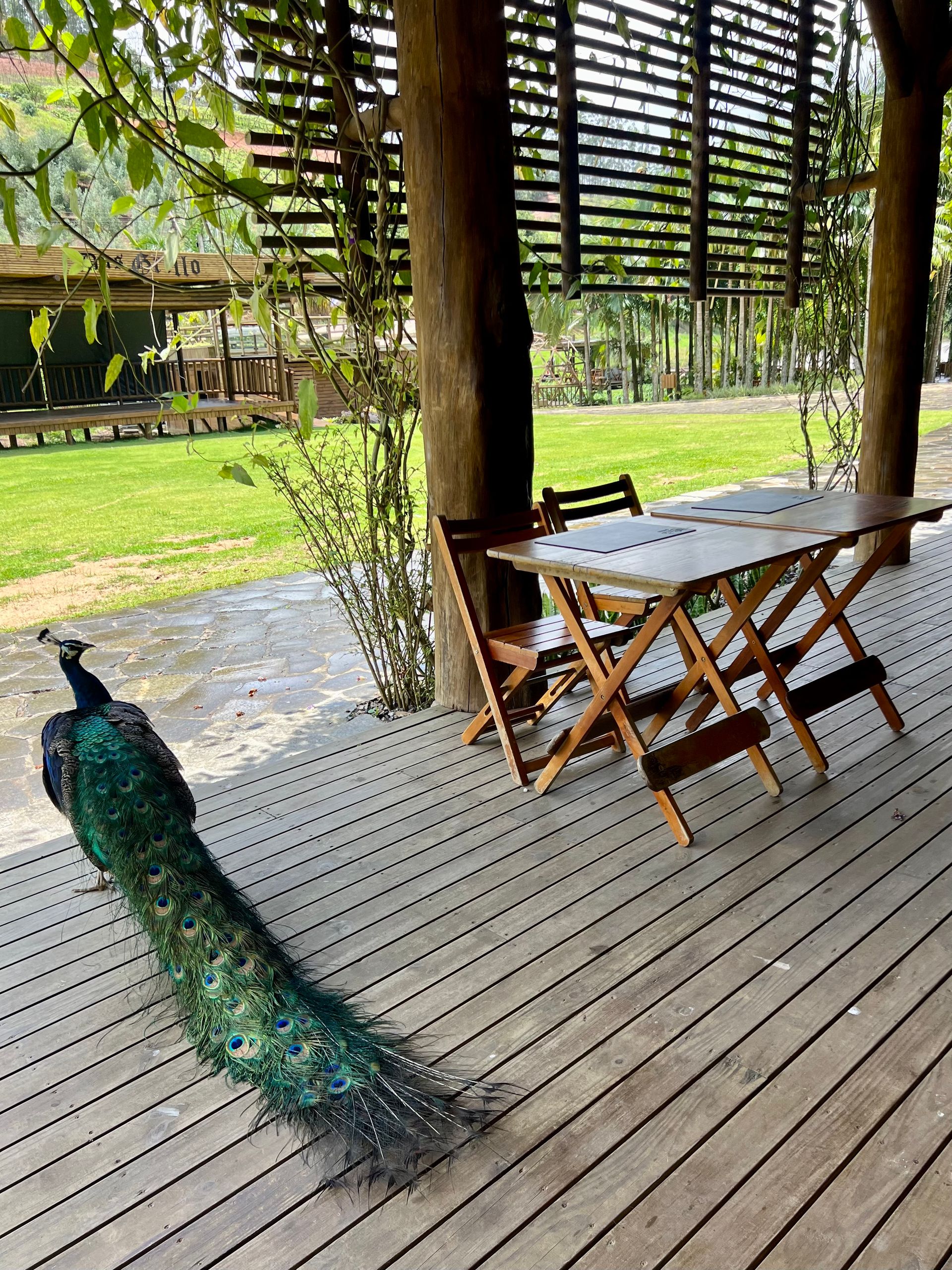 Onde comer no Espírito Santo: restaurantes e experiências - 51