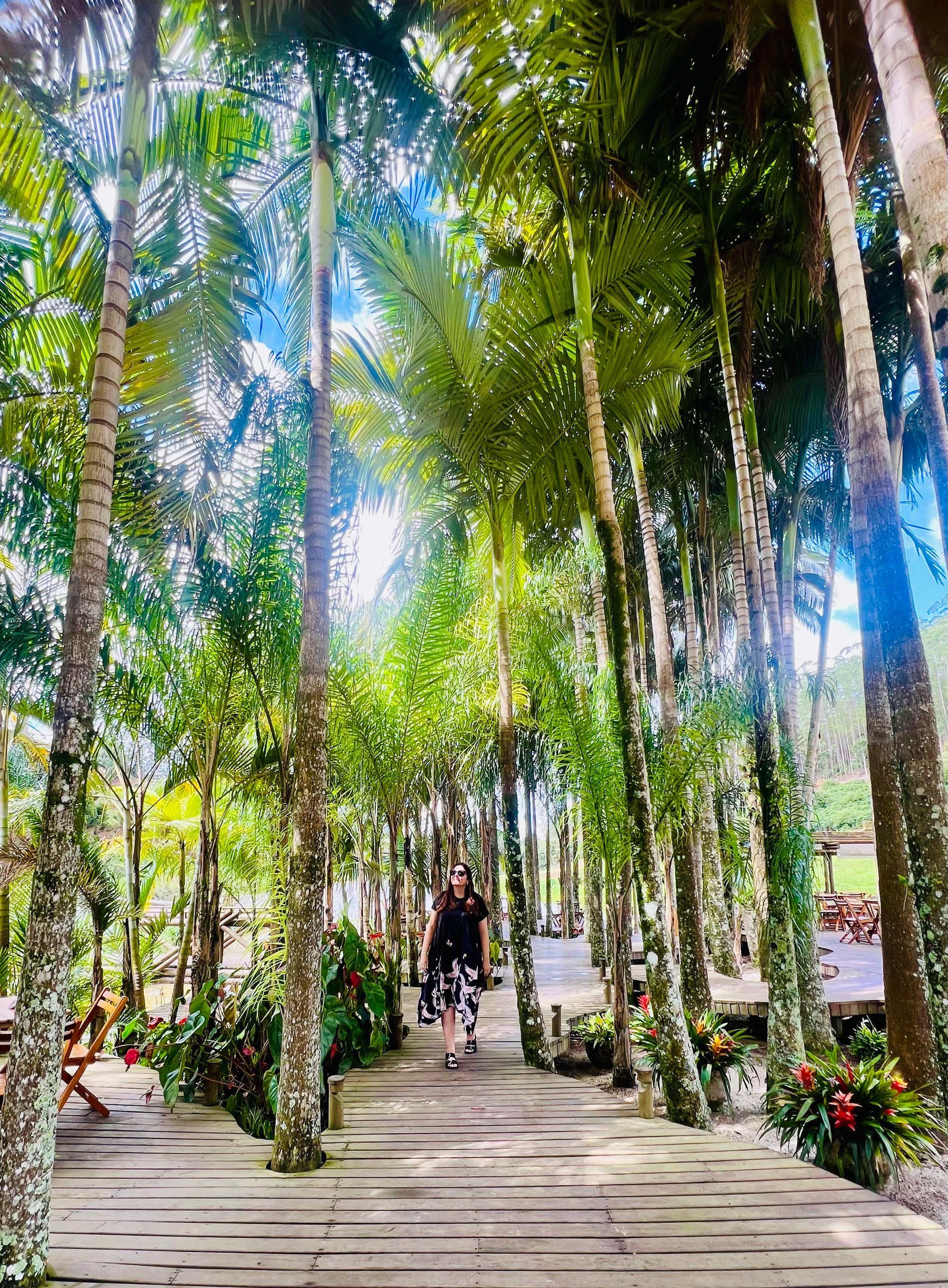 Onde comer no Espírito Santo: restaurantes e experiências - 50