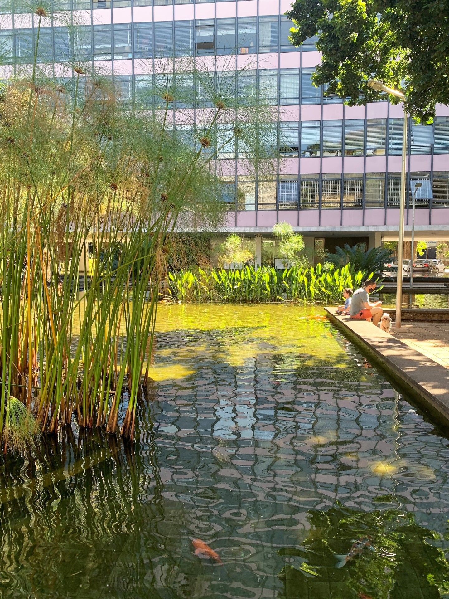 308 Sul: a superquadra modelo de Brasília. 10 motivos para você conhecer! - 21 - 1