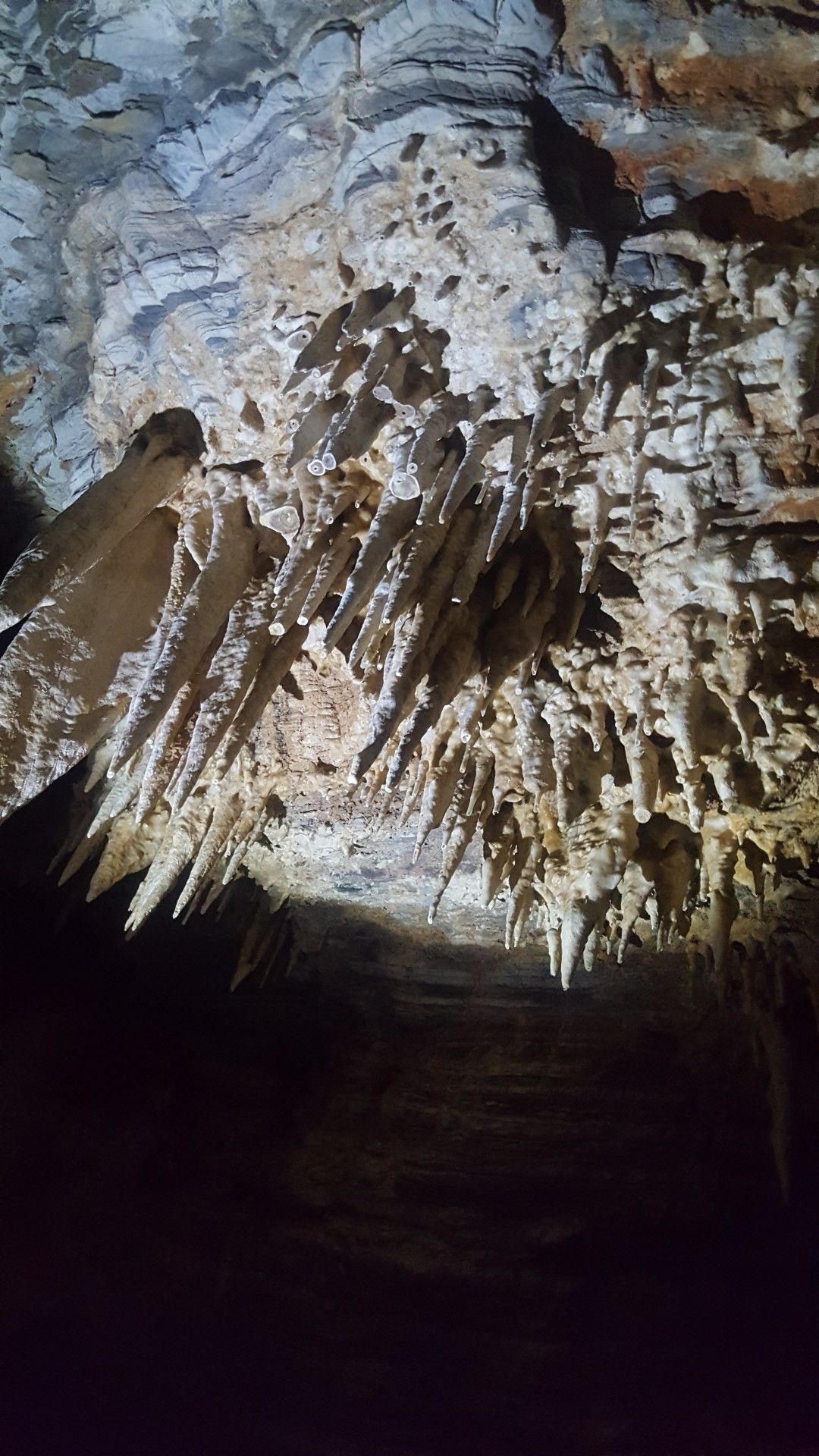 Bonito com crianças: o que você precisa saber! - 26 - 2