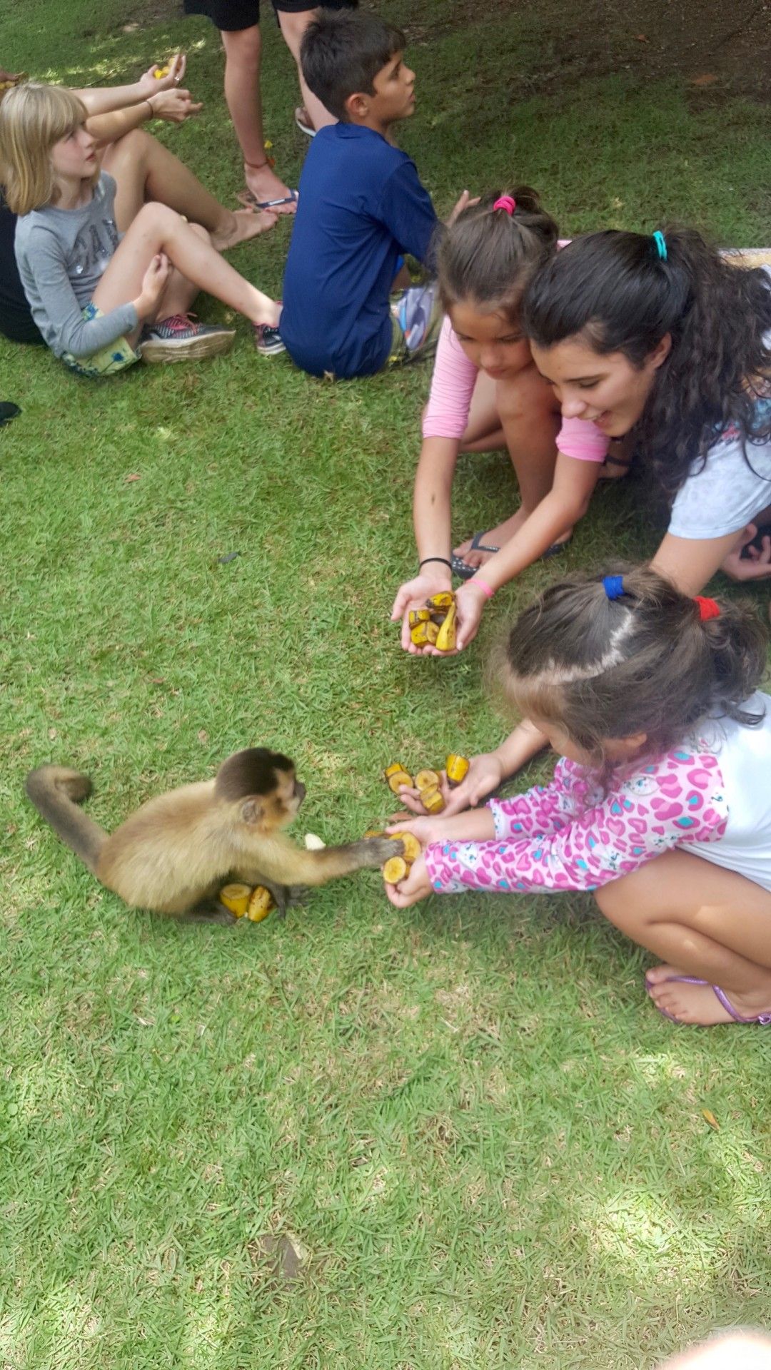 Bonito com crianças: o que você precisa saber! - 41 - 0