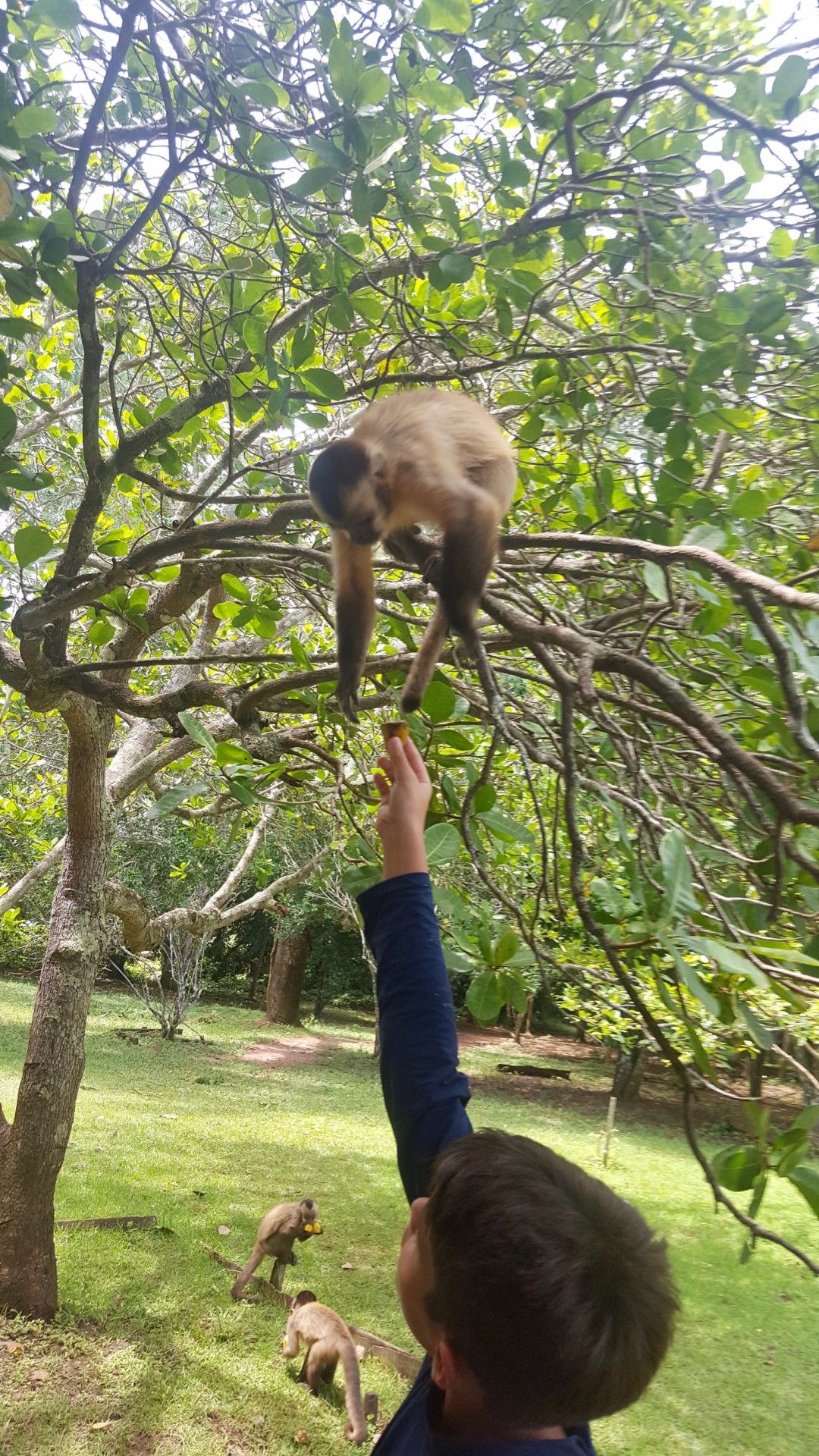 Bonito com crianças: o que você precisa saber! - 41 - 1