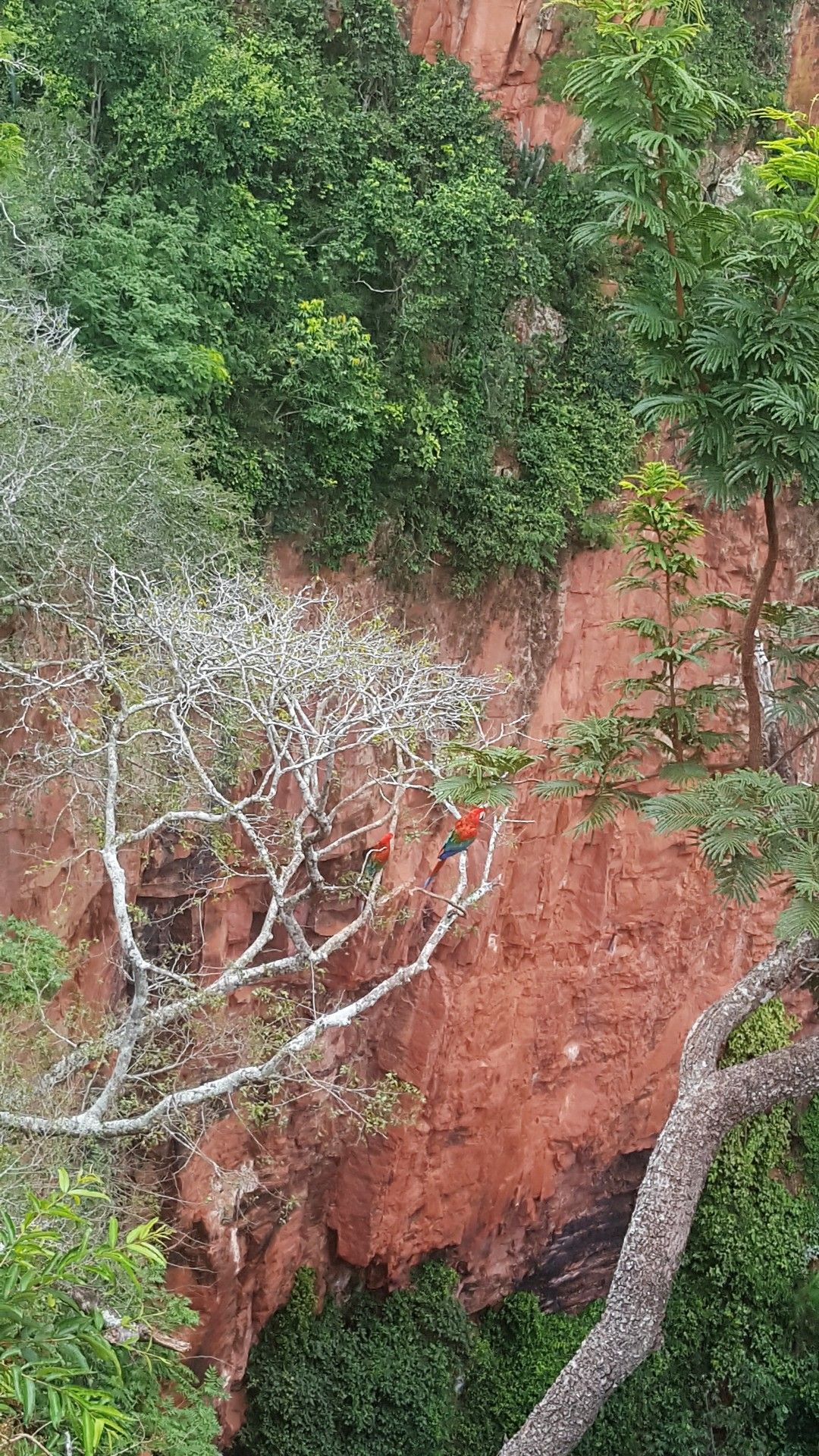 Bonito com crianças: o que você precisa saber! - 54 - 2