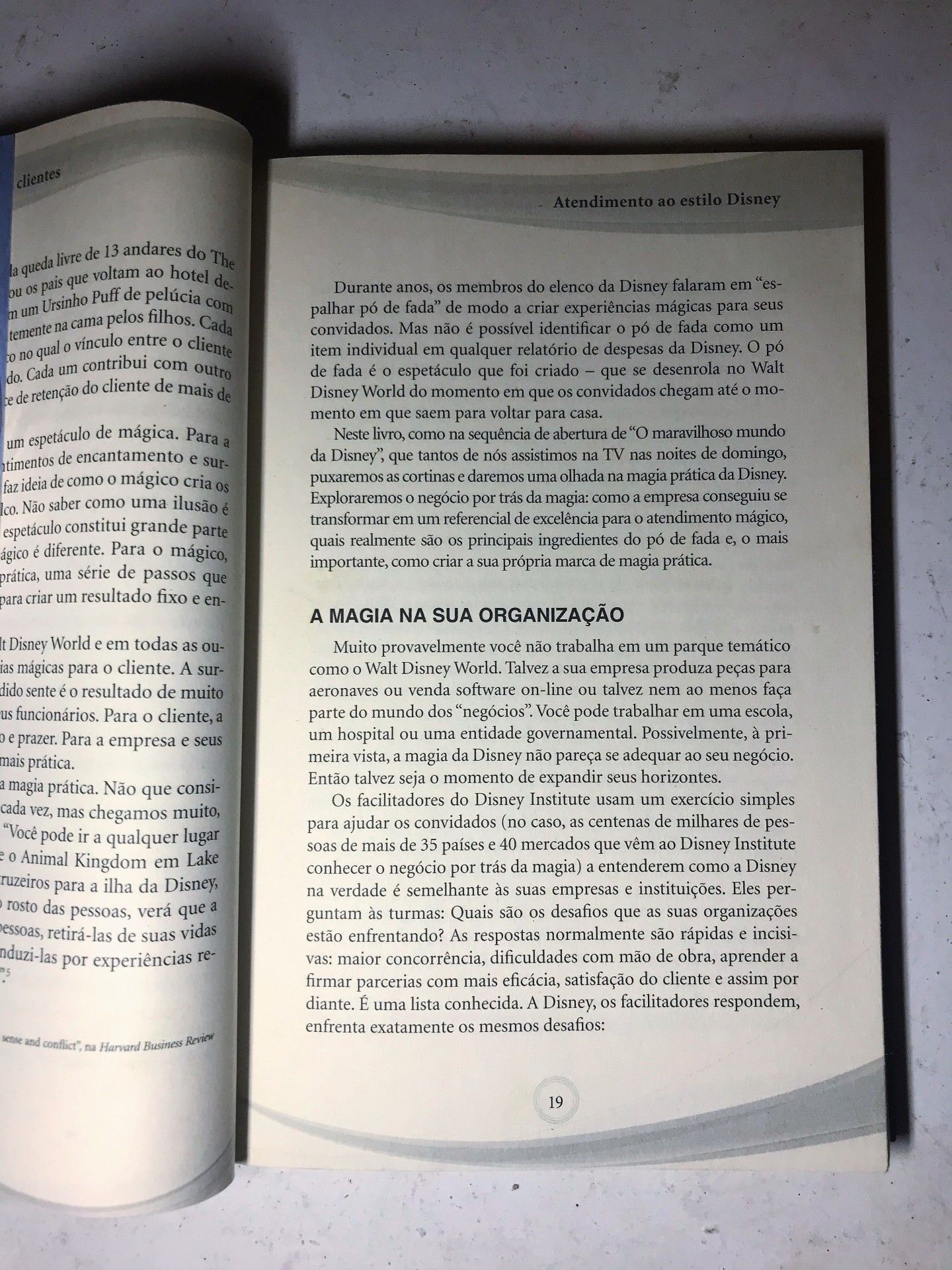 Livros para quem ama o mundo Disney - 8 - 0