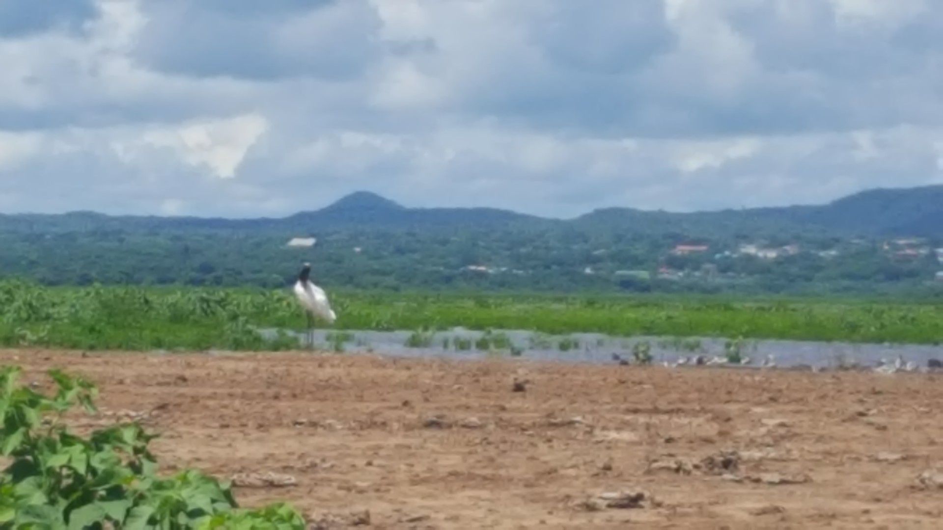Uma fantástica road trip pelo Mato Grosso do Sul! Indo até Assunção no Paraguai. - 16 - 2