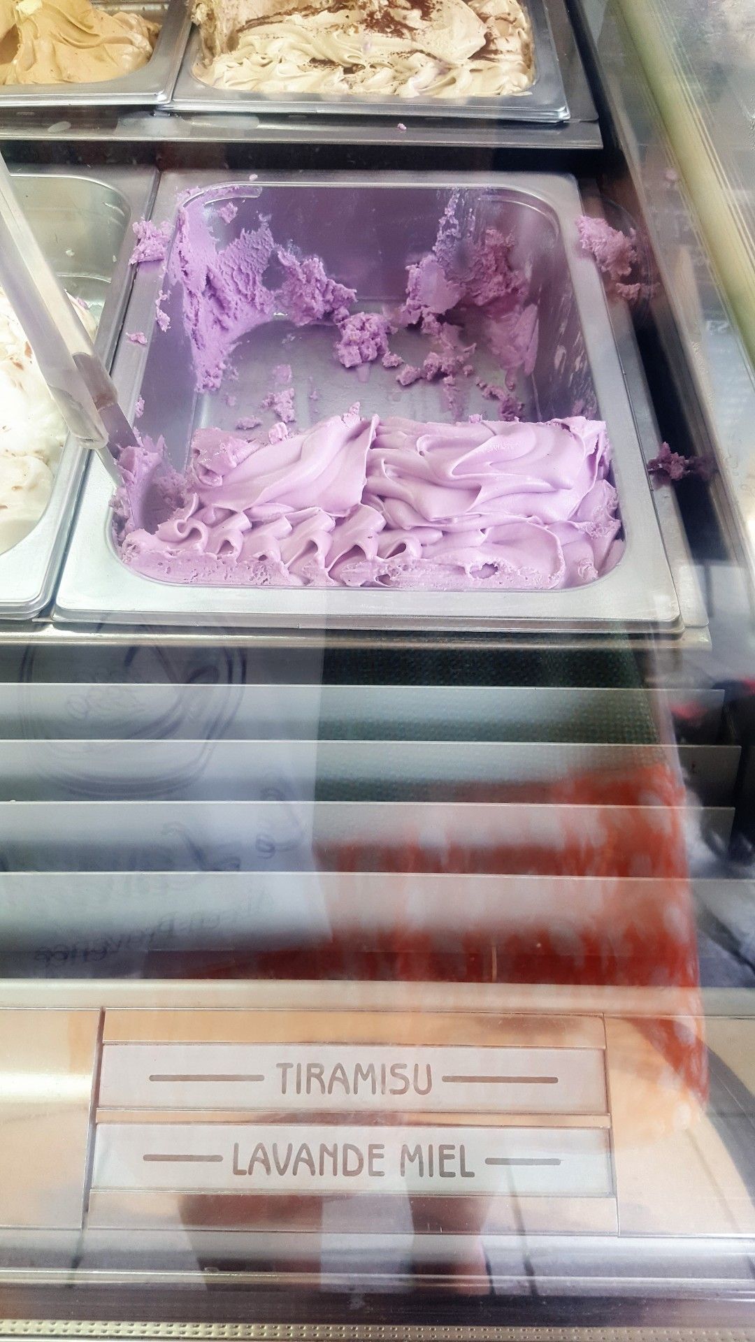 Provence: como visitar os campos de lavanda  com crianças - 7 - 0