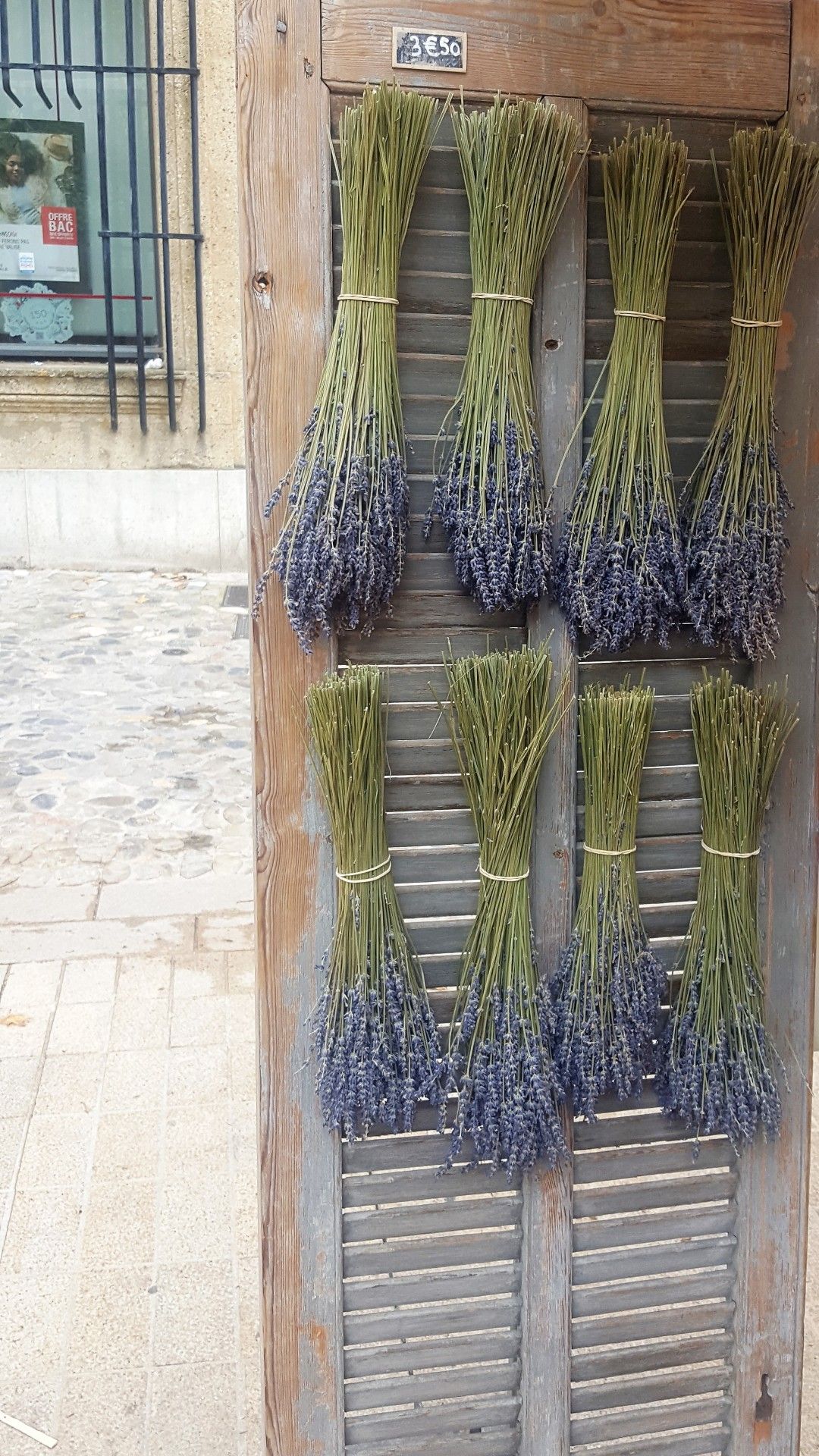 Provence: como visitar os campos de lavanda  com crianças - 37 - 1