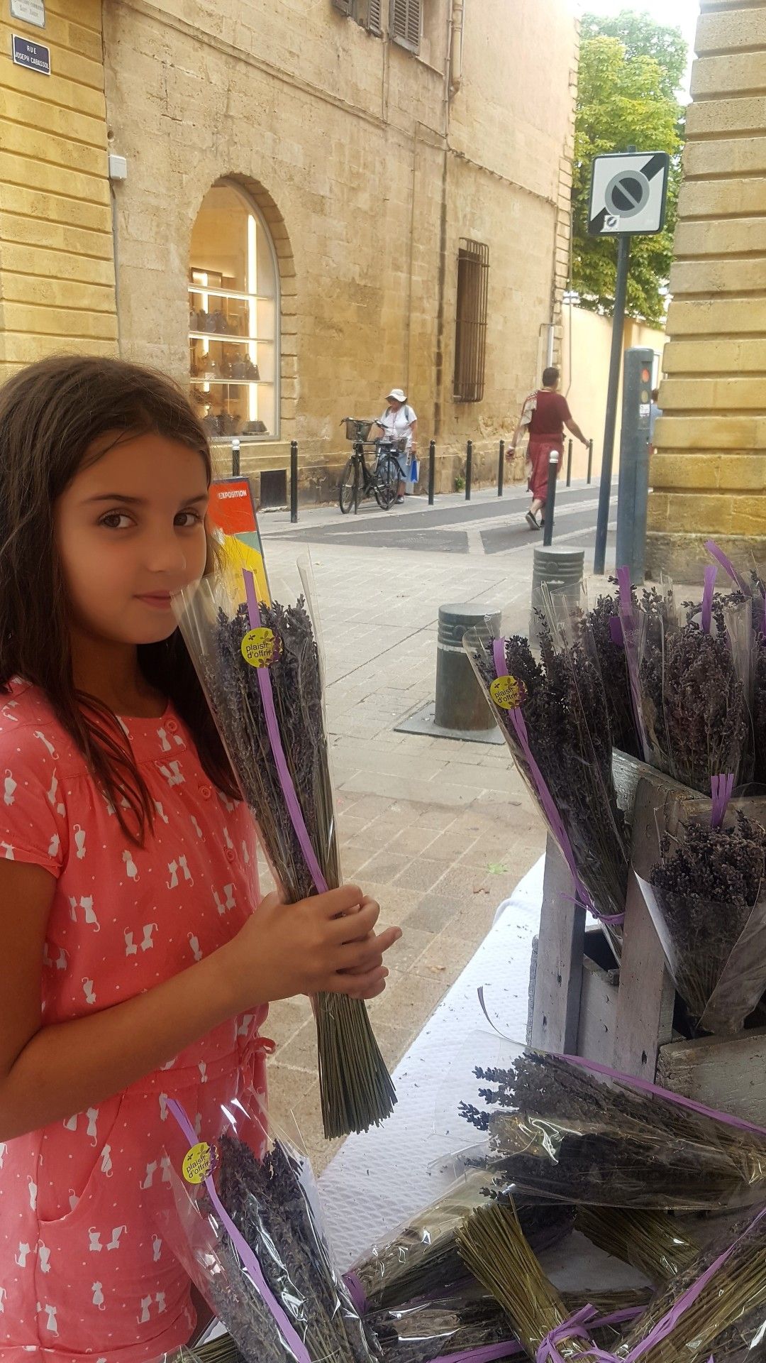 Provence: como visitar os campos de lavanda  com crianças - 37 - 2
