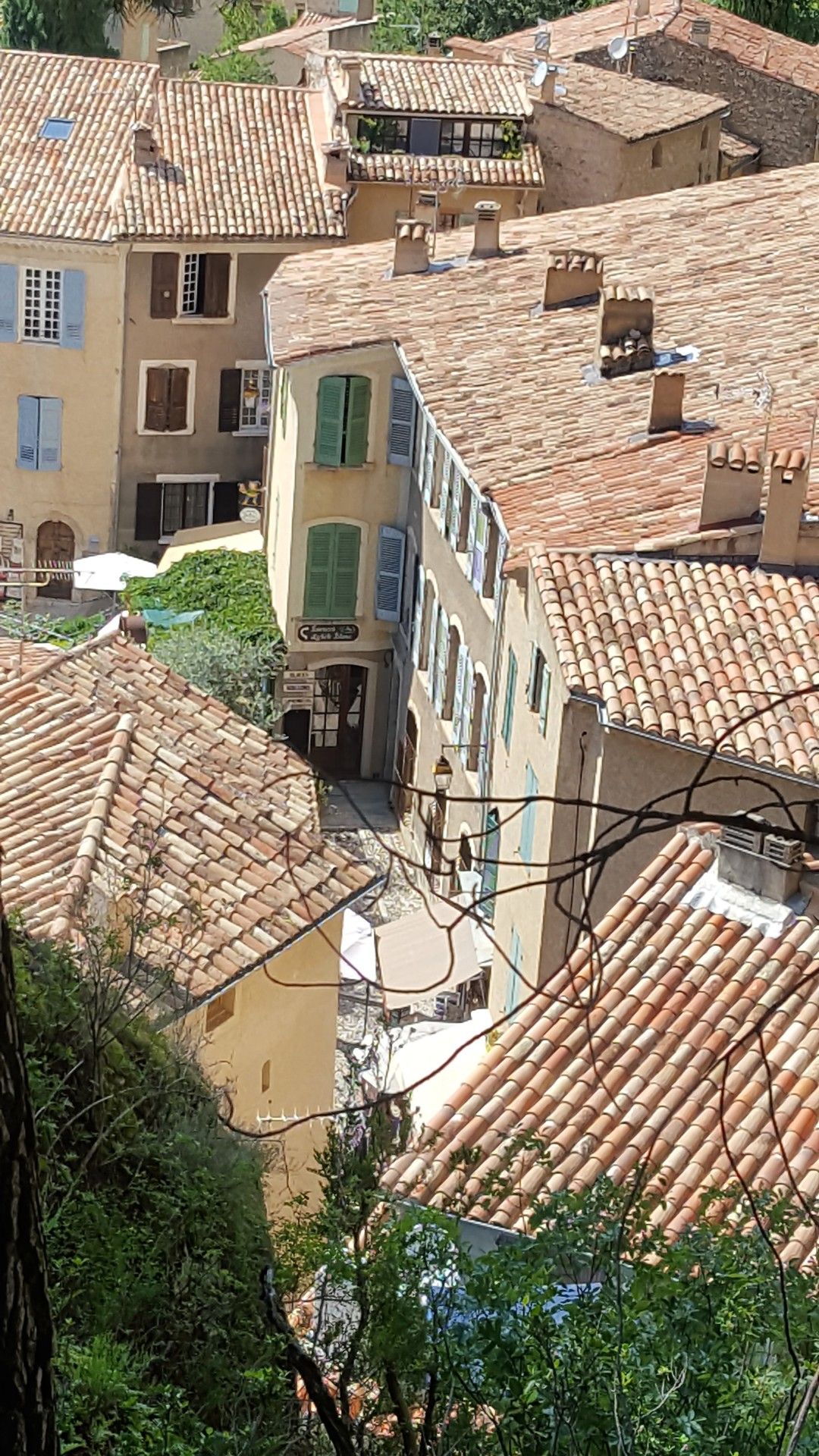 Provence: como visitar os campos de lavanda  com crianças - 43 - 0