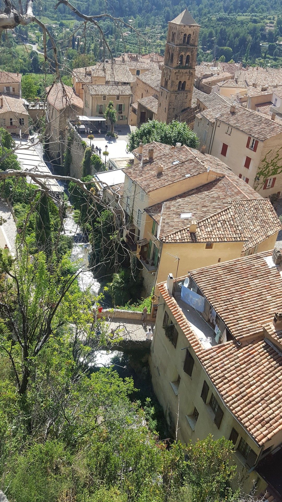 Provence: como visitar os campos de lavanda  com crianças - 43 - 1