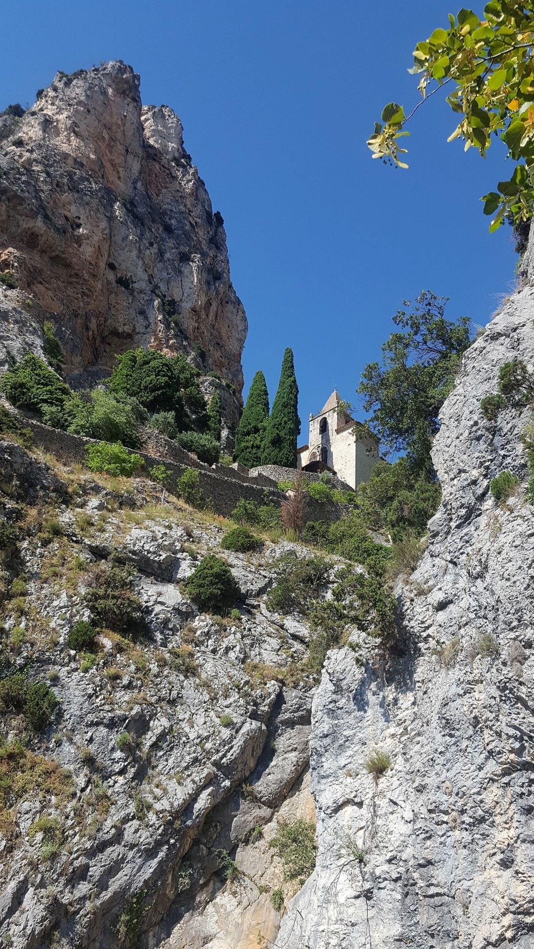 Provence: como visitar os campos de lavanda  com crianças - 43 - 2