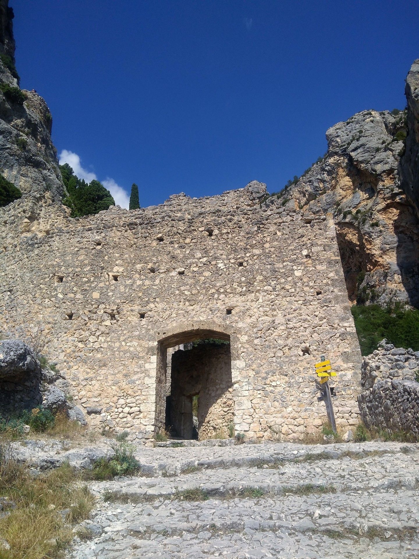 Provence: como visitar os campos de lavanda  com crianças - 43 - 3