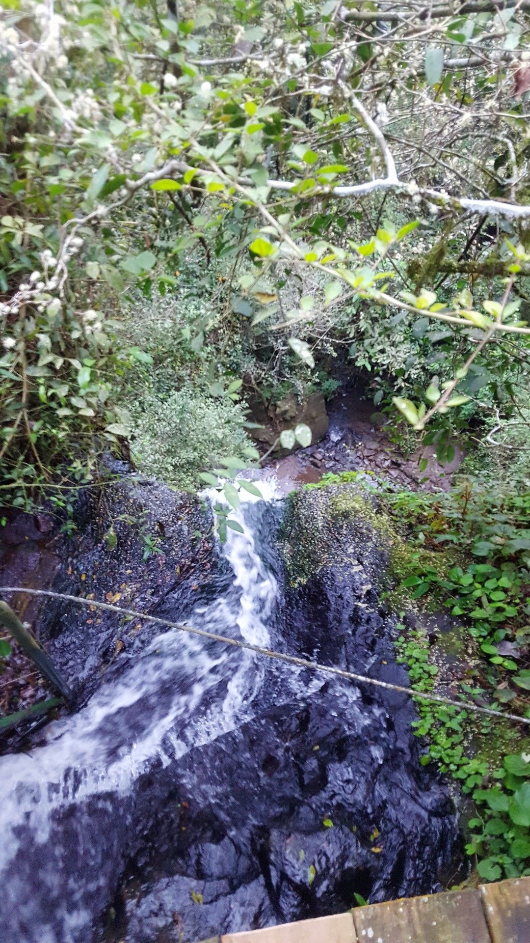 Como é visitar as Cataratas do Iguaçu do lado brasileiro - 19 - 1