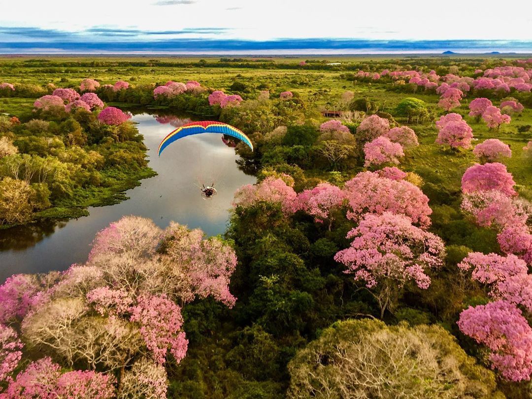 Curso completo de formação piloto paramotor - 20 - 9