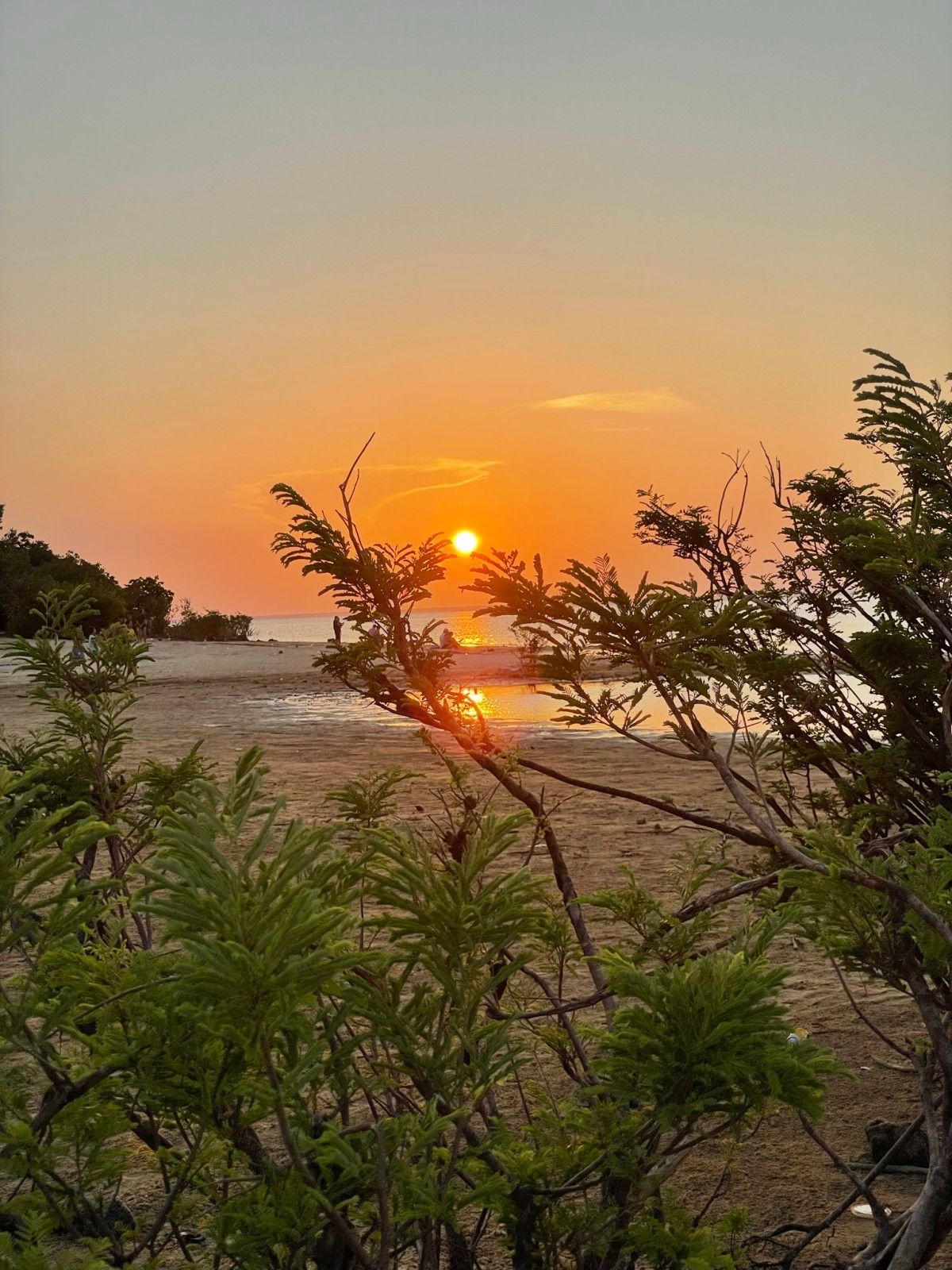 Voos de Paramotor em Alter do Chão, Santarém - PA - 5 - 6