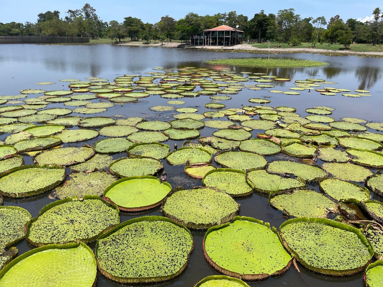 Voos de Paramotor em Alter do Chão, Santarém - PA - 7 - 9
