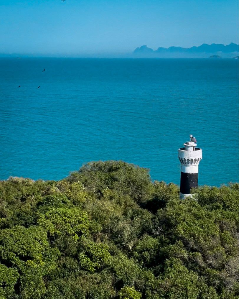 Apenas Voe Festival! Maricá RJ - 20 a 23 de janeiro de 2022 - 4 - 2