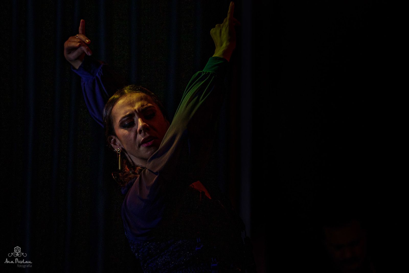 Ana Paula Campoy - tablado Lei Aldir Blanc - 1 - 8