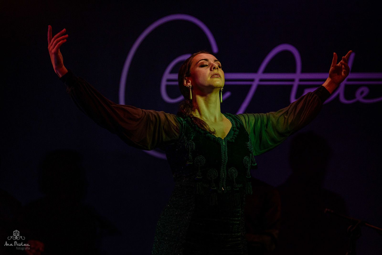 Ana Paula Campoy - tablado Lei Aldir Blanc - 1 - 12