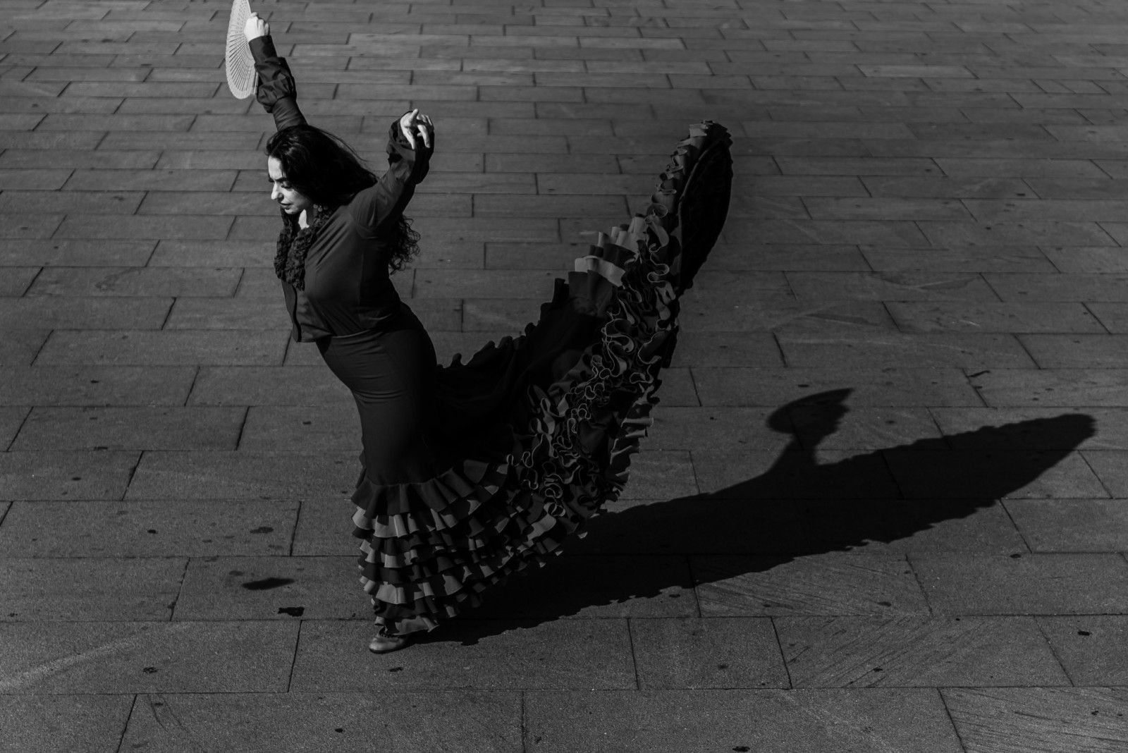 Águia. Beatriz Carrazza - 1 - 16