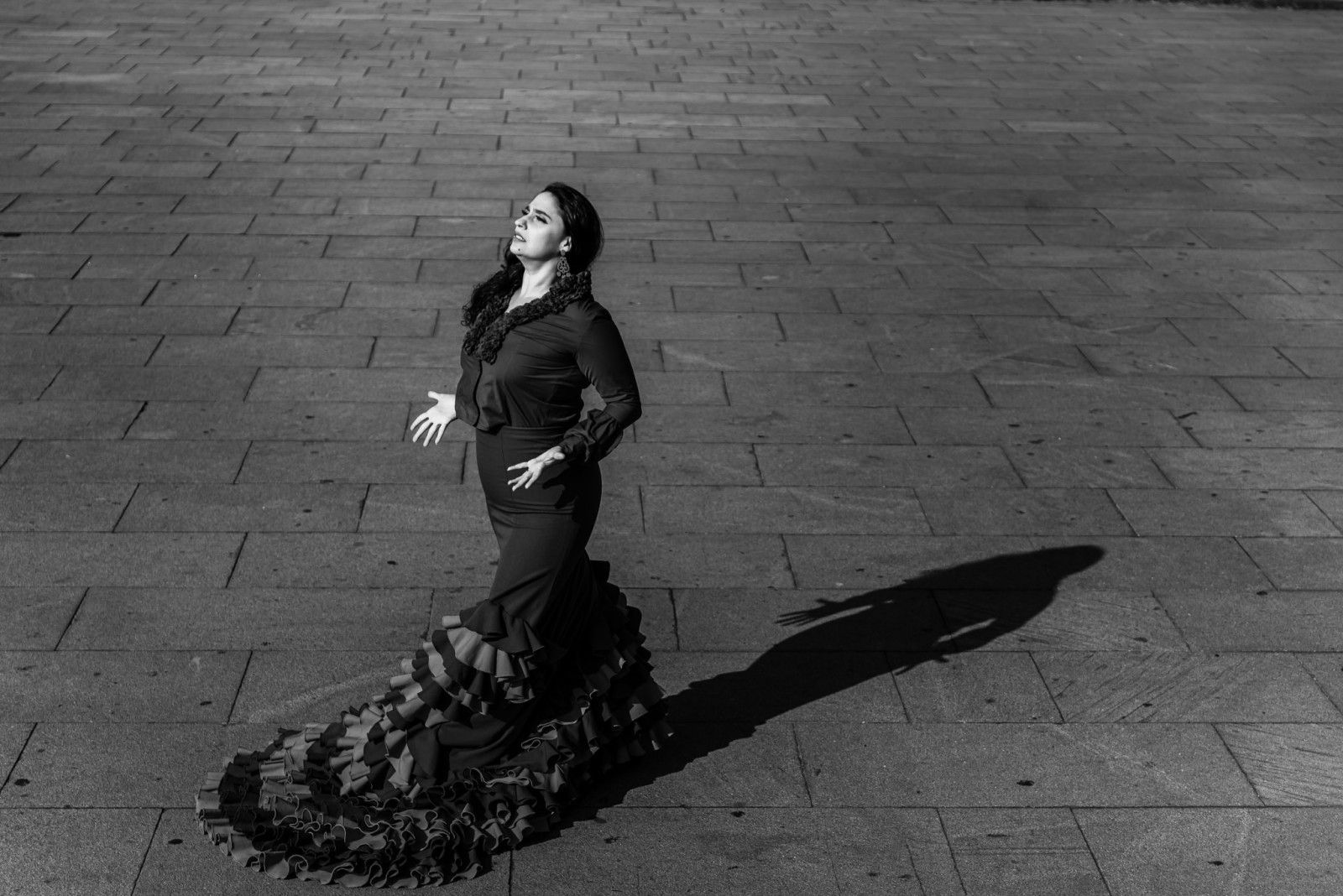 Águia. Beatriz Carrazza - 1 - 11