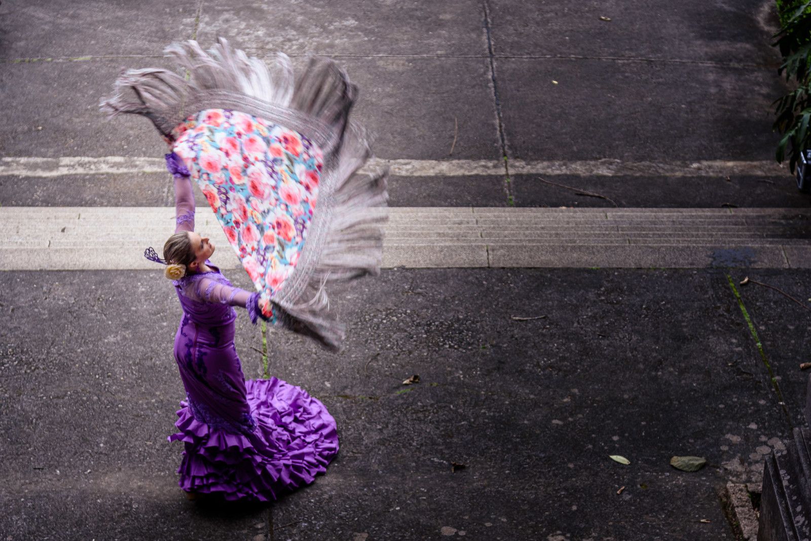 Jardim Botânico. Rosmary Arias - 2 - 33