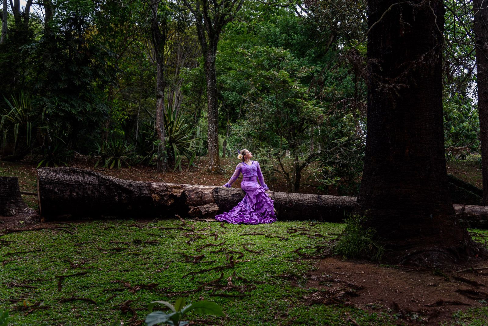 Jardim Botânico. Rosmary Arias - 2 - 34