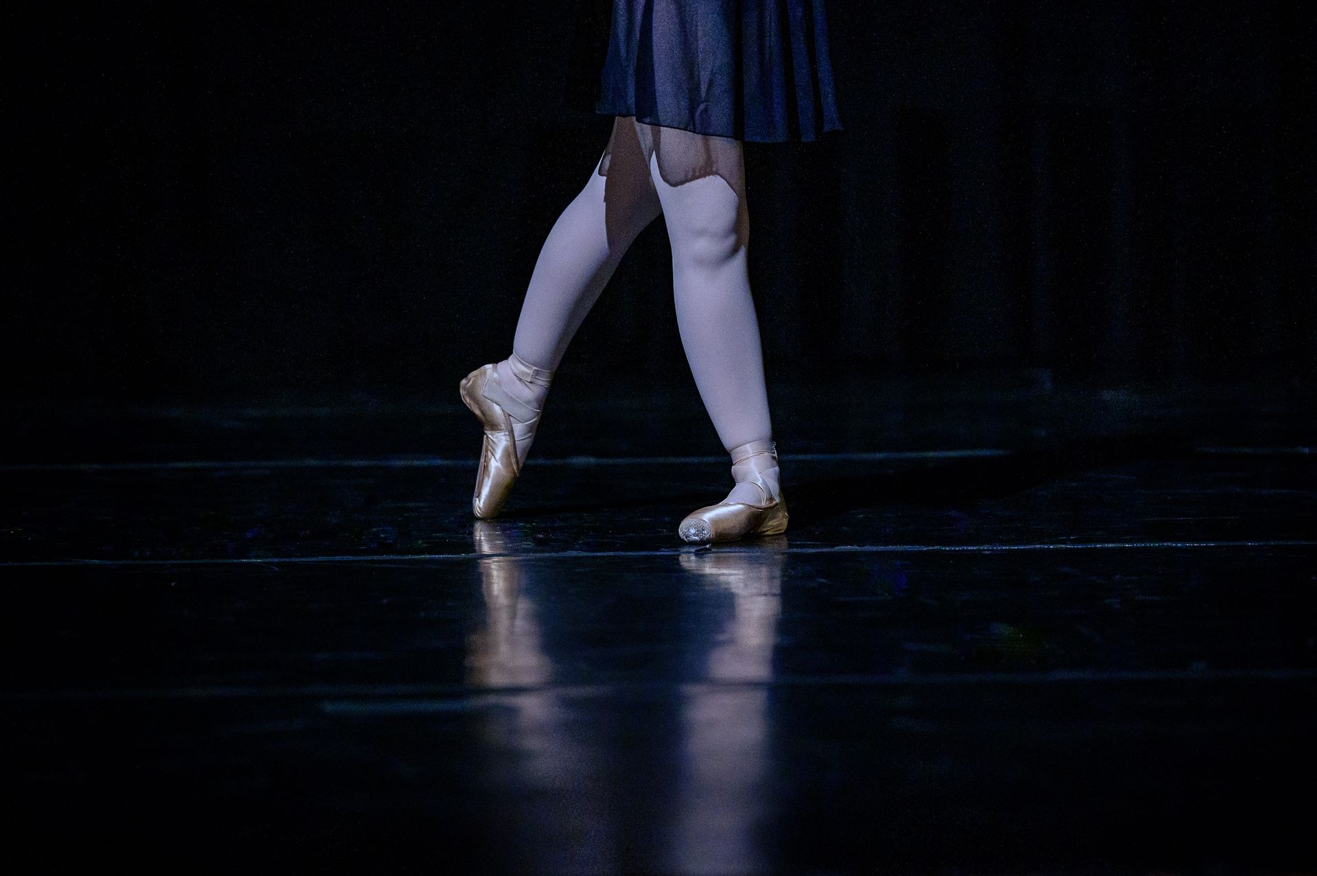 O Lago dos Cisne - BLA (Ballet Livre Adulto) - 2 - 42