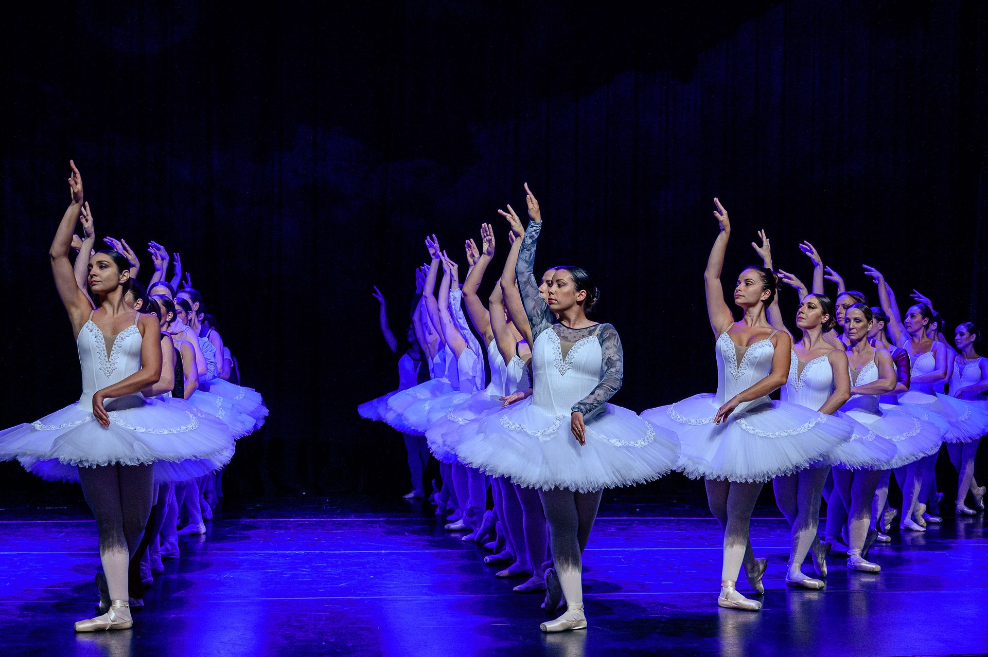 O Lago dos Cisne - BLA (Ballet Livre Adulto) - 2 - 20